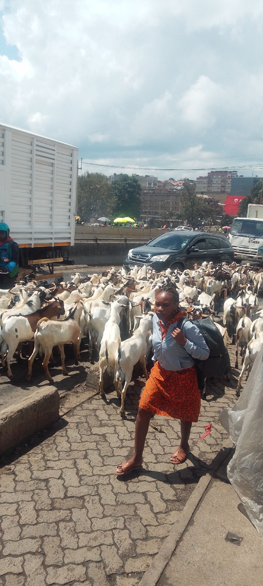 A young woman walks barefoot through a herd of goats on a paved surface in Nairobi, Kenya. The woman is wearing a blue jacket, an orange skirt, and carrying a backpack. The herd of goats is white, black, and brown. Behind the goats are several vehicles, including a black SUV and a white truck. In the background, buildings are visible, as well as cloudy skies.