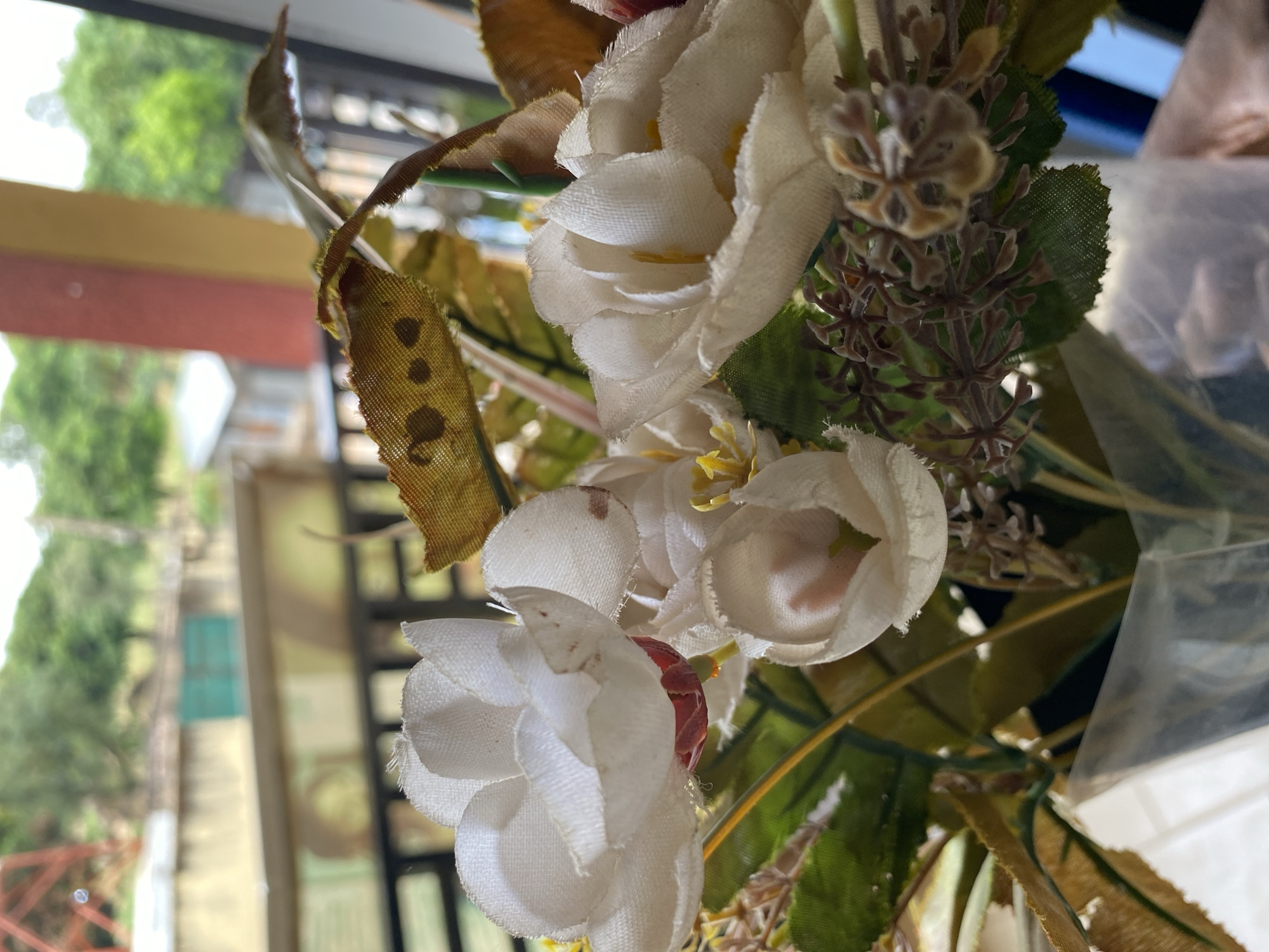 A close-up, tilted shot depicts artificial flowers in an indoor setting. The flowers are primarily white with hints of yellow in the center, alongside artificial greenery and brown ornamental details. Outside the window, a view of Bukuru, Nigeria, is visible, featuring a multi-story building and trees.