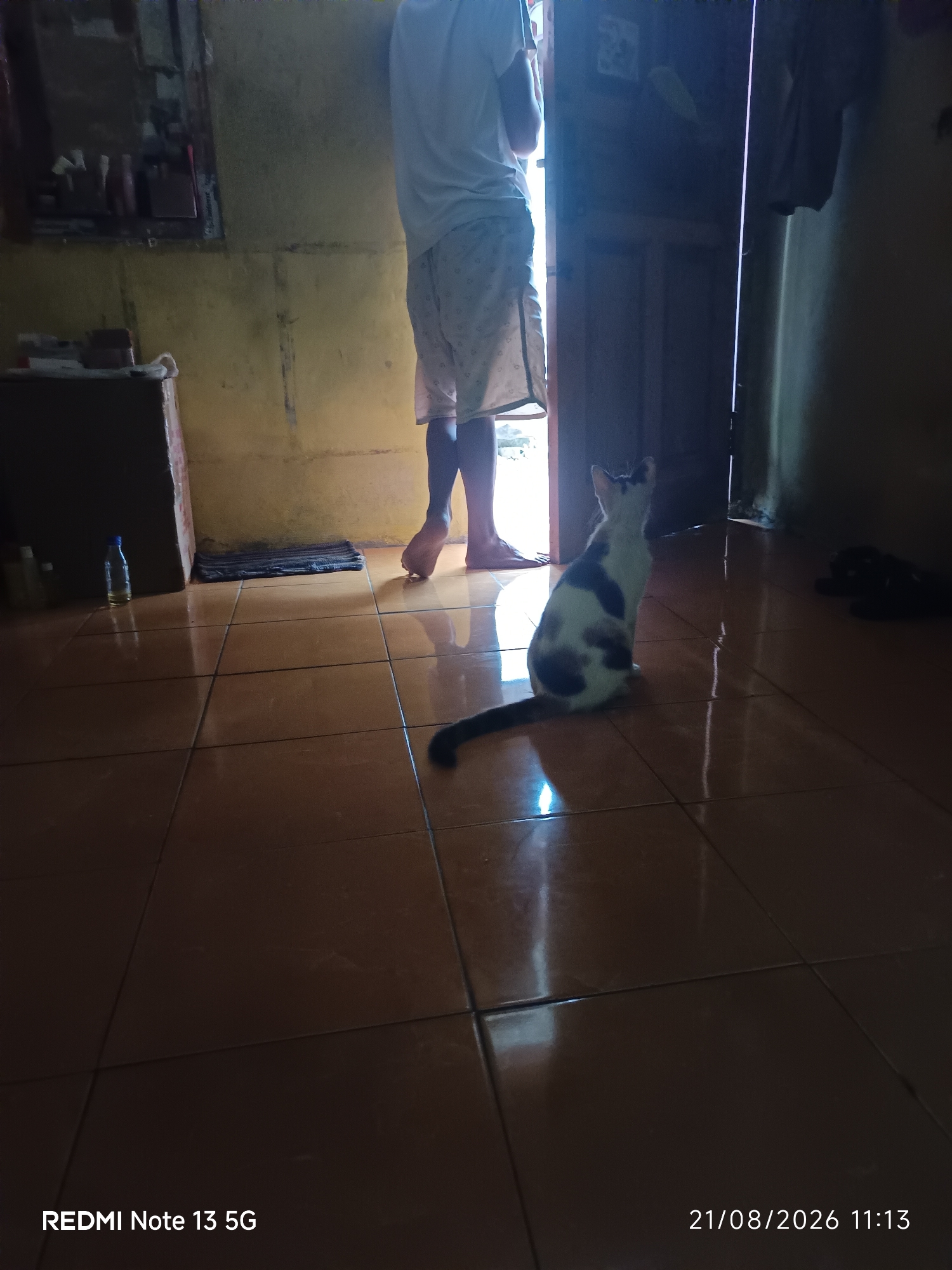 A medium shot captures the interior of a room with tiled flooring. The lighting suggests it is daytime, with sunlight streaming in from an open doorway, creating reflections on the floor.
In the foreground, a calico cat with white, black, and brown markings sits on the tiled floor, facing away from the camera and towards the open doorway. Its tail is extended behind it. Further to the right, a dark shape, possibly another animal or object, is partially visible in the shadow.
A person, partially visible from the waist down, stands with their back to the camera near the doorway, wearing white shorts with a pattern and a white t-shirt. Their bare feet are visible on the floor.
To the left of the frame, a dark cabinet or shelf unit is present, with a few bottles, one of which is transparent with a blue cap and yellow liquid, standing on its surface. A small, dark blue mat is placed on the floor in front of the cabinet, near the doorway. The walls are painted a yellowish-tan color and appear somewhat worn.
The bottom right corner of the image displays a watermark reading "21/08/2026 11:13". The bottom left corner shows another watermark: "REDMI Note 13 5G".
The scene depicts a casual, domestic environment within a residence in Talaga Sari, Indonesia.