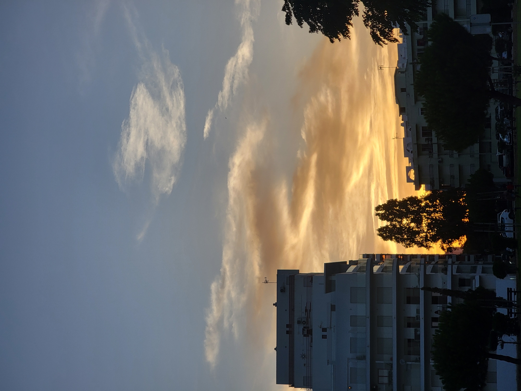 This is a vertical, outdoor, eye-level shot of a residential area in Quarteira, Portugal, at sunset. The sky is filled with a gradient of blue, yellow, and orange clouds, indicating the sun is setting. In the foreground, to the left, is a tall, white, multi-story apartment building with balconies and windows. To the right, a large, dark green tree partially obscures another building of similar height and design. In the mid-ground, smaller trees and parked cars are visible. Two small birds are visible in the sky. The image has a slight tilt.