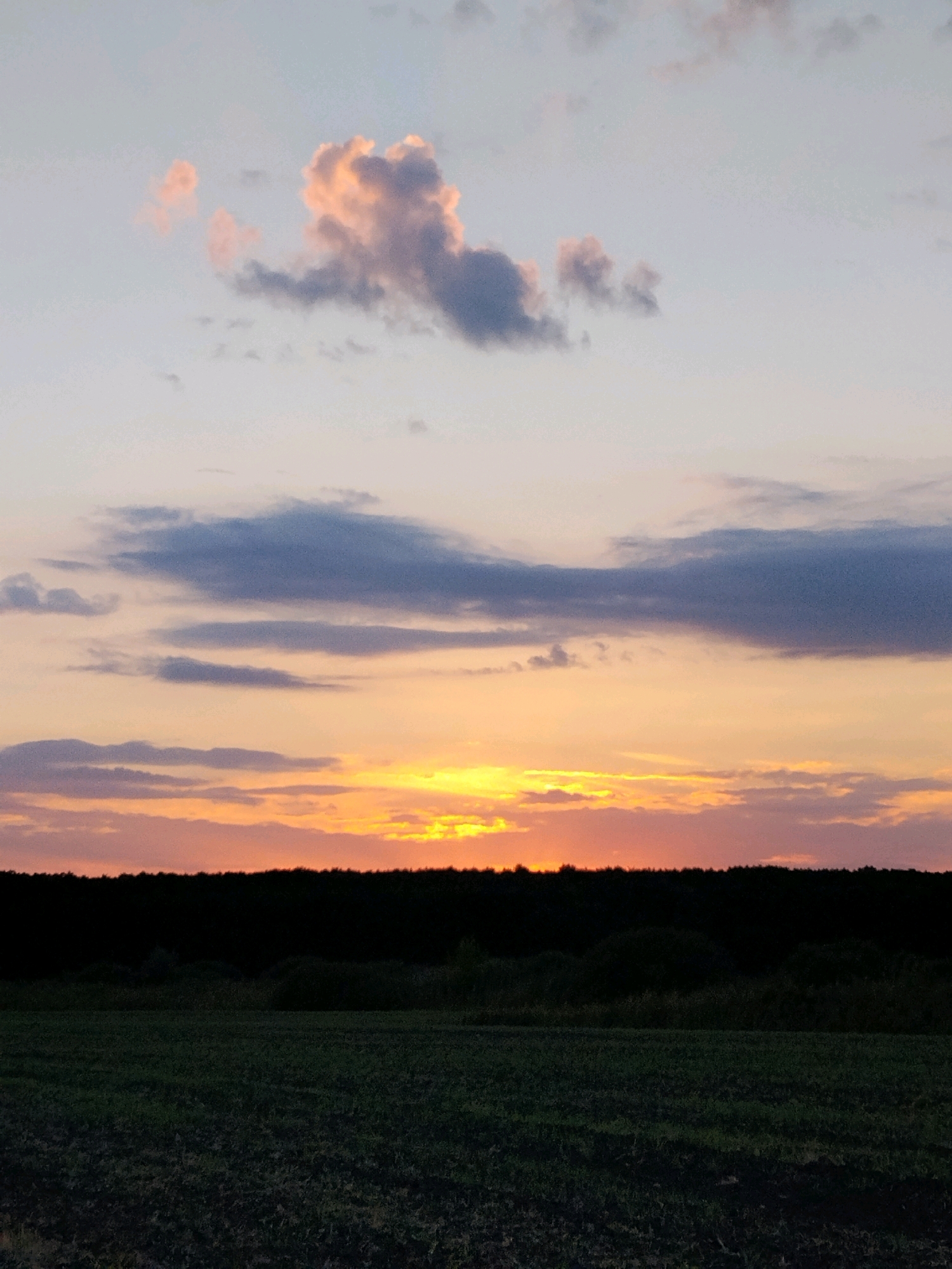 This image depicts a rural landscape at dusk in the village of Pidluky, Ukraine. The sky is filled with a gradient of colors, transitioning from pale blue at the top to hues of orange, pink, and yellow near the horizon, indicative of a sunset. Several clouds are scattered across the sky, some illuminated by the setting sun with a warm, rosy glow, while others are darker and more muted. Below the sky, a dark silhouette of a dense forest forms a horizontal line across the middle of the frame. In the foreground, a cultivated field, likely farmland, is visible. The field appears dark and somewhat uneven, suggesting it has been recently plowed or is in a state of preparation for planting. No people or animals are present in the scene. The overall atmosphere is tranquil and natural.