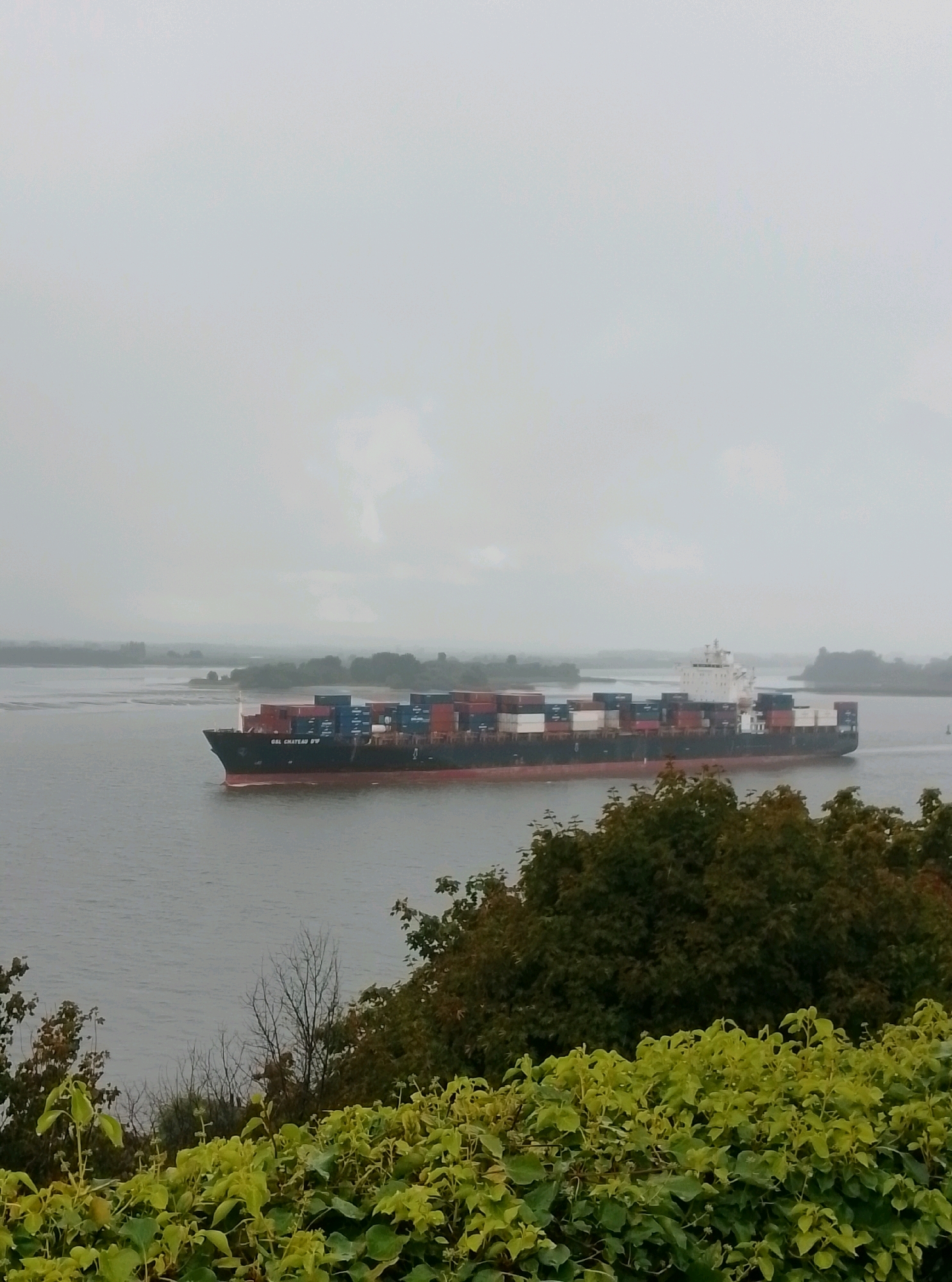 A cargo ship is seen from a slightly elevated vantage point, moving across a body of water. The ship is laden with shipping containers of various colors, predominantly red and blue, stacked high on its deck. The ship has the name "GSL CHATEAU BW" visible on its hull. In the background, there is a hazy shoreline with trees and some buildings. The sky is overcast, contributing to a muted and diffused lighting of the scene. The foreground is dominated by lush green foliage, appearing to be ivy or similar ground cover, with some bare branches of trees visible behind it. The overall impression is that of a cloudy day in a port or river environment. It is not possible to determine the specific location within Hamburg from the image alone.