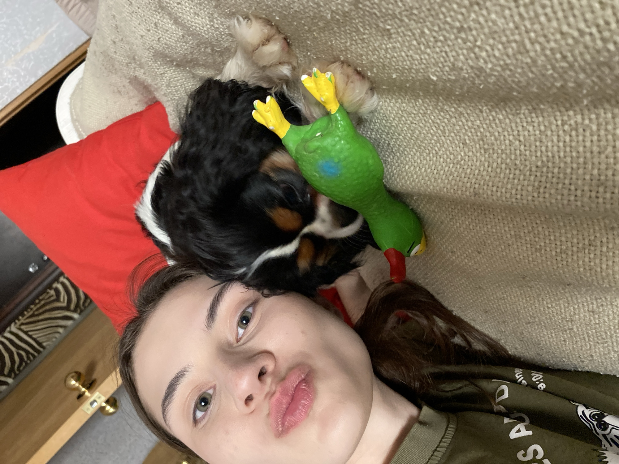 A young woman is captured in a close-up selfie, lying down indoors with her dog and its toy, likely in Votkinsk, Russia. Her face, positioned in the lower left of the frame, displays a playful expression with pursed lips. She has light-colored eyes and dark eyebrows.
Beside her head, a small tri-color dog, possibly a Cavalier King Charles Spaniel, is resting. The dog's black, white, and tan fur is visible, along with its light-colored paws curled upwards. A vibrant green rubber duck toy with yellow feet and a small blue mark on its body is positioned near the dog and the woman's head.
The subjects are lying on a textured, light beige fabric, which appears to be a sofa or bed. A bright red pillow is visible behind the dog and the woman's head. In the background, to the left, there's a glimpse of wooden furniture with a brass handle and a piece of fabric featuring a black and white zebra-like pattern. The woman is wearing a dark green t-shirt with some partially visible white text that includes "AS," "sing," and "10:e." The scene suggests a relaxed and affectionate moment between the owner and her pet.