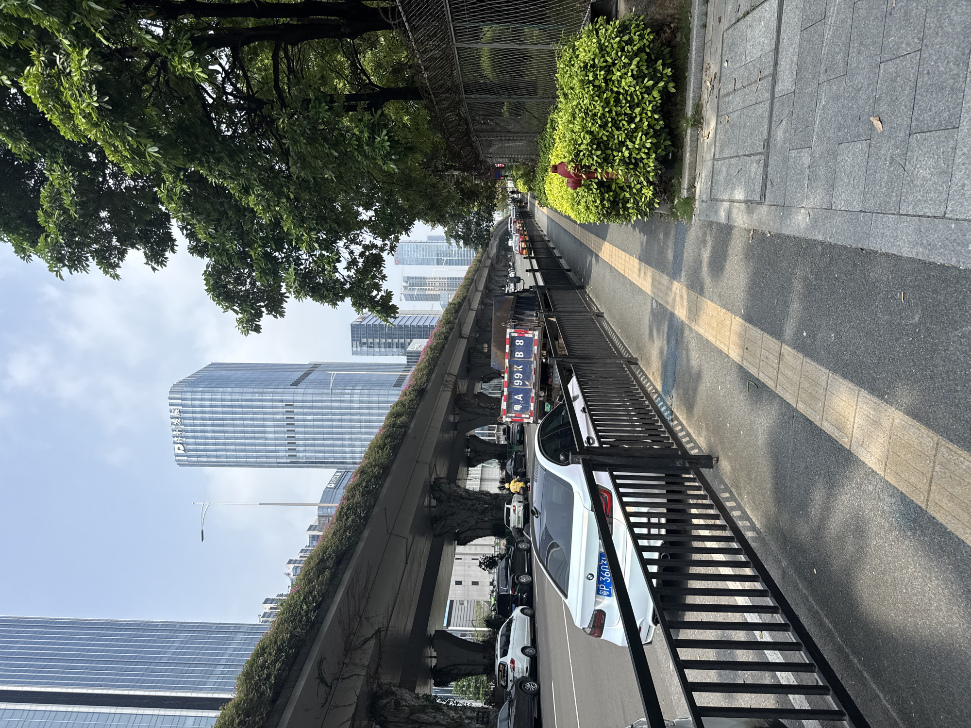 The image captures a street scene in Huangpu District, China, dominated by a multi-level elevated road structure with lush greenery growing on its sides. Beneath the elevated road, a busy street is visible with several vehicles, including a white BMW with a license plate reading "P 3607X", a white SUV, and a black SUV. A person in yellow attire on a scooter is also present. On the right side of the street, a sidewalk is lined with a black metal fence, a well-maintained green hedge, and a red fire hydrant. Further to the right, a chain-link fence encloses an area with trees. In the background, modern skyscrapers with glass facades rise into a hazy sky. The overall environment suggests an urban setting with extensive infrastructure and vibrant plant life.