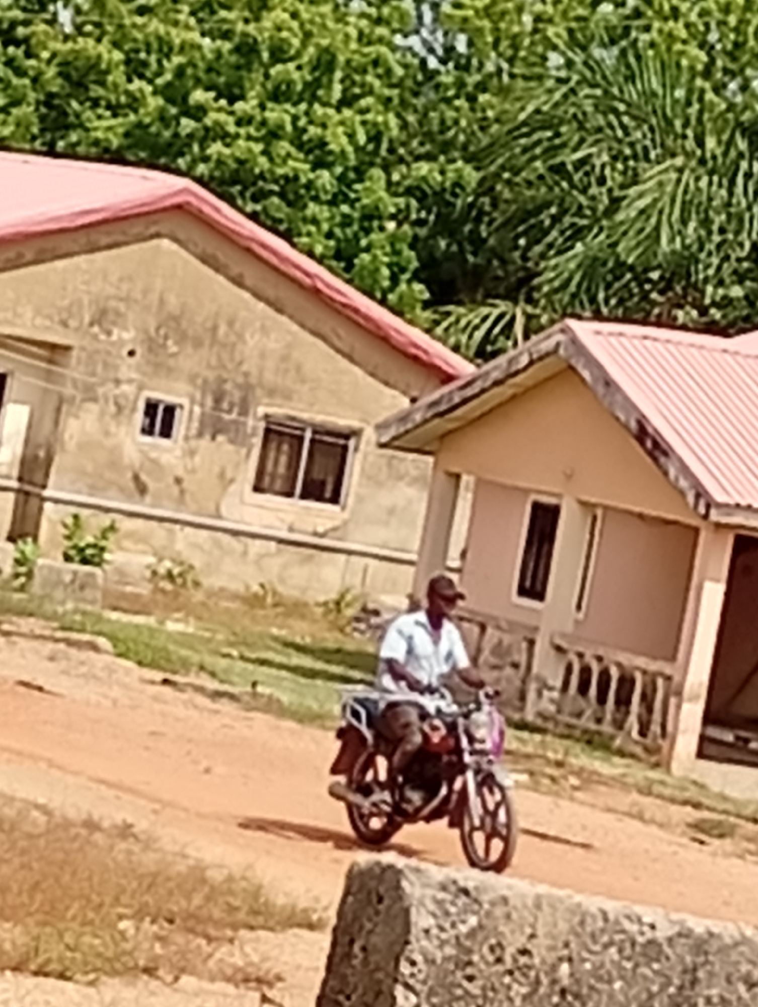 A medium outdoor shot shows a man riding a motorcycle on a dirt road in front of two small buildings under a green tree canopy. The buildings, of unknown age, are one-story structures with red-tinged roofs and cream-colored walls. The building on the left appears to be older, its walls visibly aged. The man is riding a maroon motorcycle, wearing a light-colored short-sleeved shirt and a dark baseball cap. The exact location within the city of Unknown, Unknown cannot be determined based on the image. The focus is on the man and the motorcycle as he passes the buildings. The environment suggests a semi-rural or suburban setting.