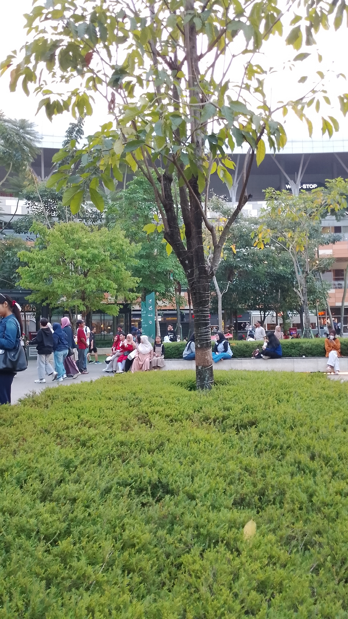In South Tangerang, Indonesia, an outdoor public space features a variety of elements. A large tree with green leaves stands prominently in the foreground. Several individuals are seated on a low, raised planter box covered in lush green bushes. Others are walking or standing nearby. In the background, a modern building with dark windows and a white structure with the "W STOP" logo is visible. The scene appears to be a pleasant day in an urban park or plaza.