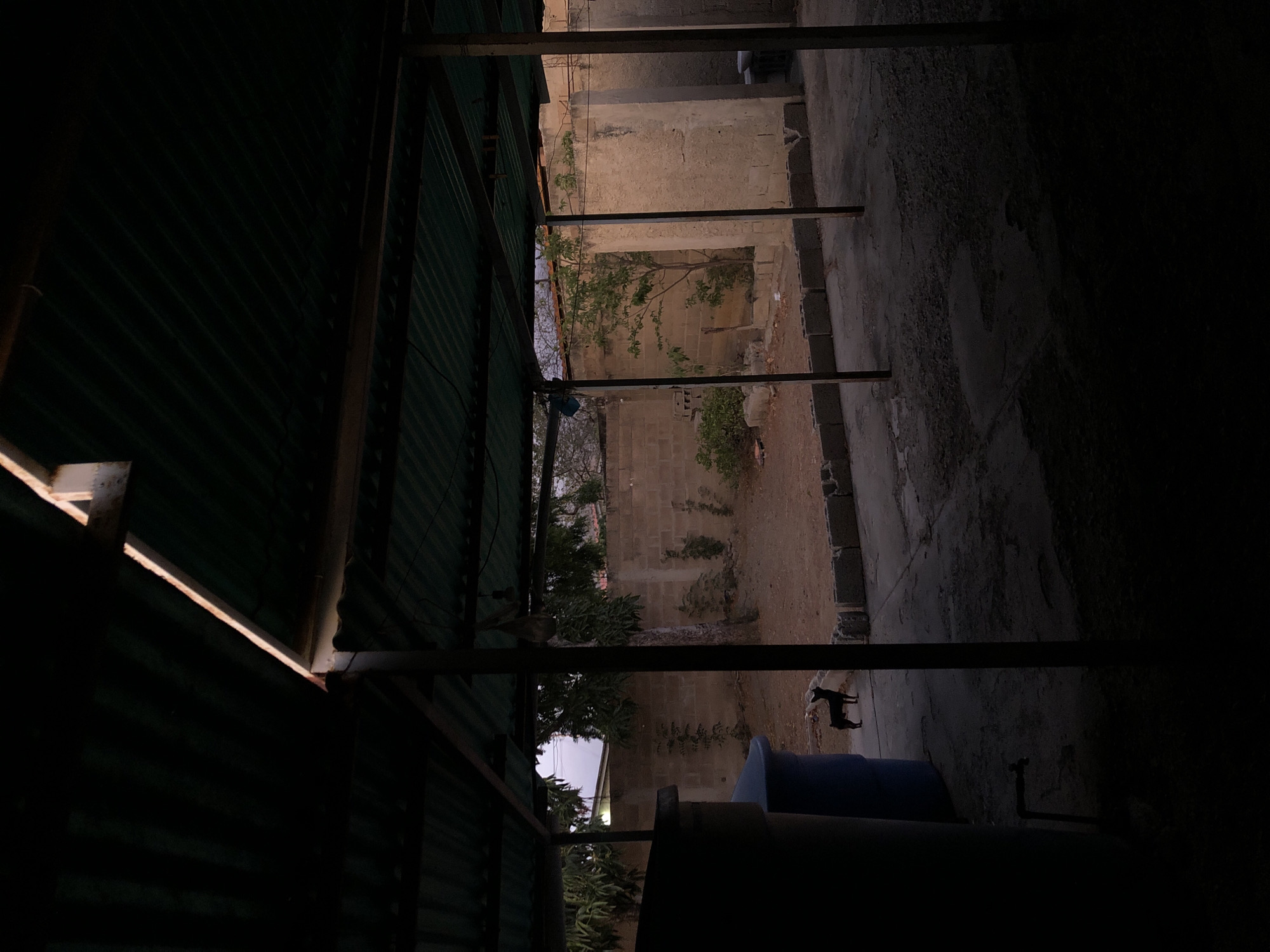 The image, likely taken in Altagracia, Venezuela, shows an outdoor space viewed from under a partially enclosed structure. The structure appears to have a corrugated metal roof and metal support beams. Beyond the enclosed area, a narrow courtyard or alley is visible. This space is bordered by what appears to be a roughly constructed building or wall made of blocks. Vegetation is present in the courtyard area, including a small tree and other plants. At the far end of the courtyard, two dogs are visible. The lighting in the image is dim, with significant portions obscured by shadow. A blue cylindrical tank is visible.