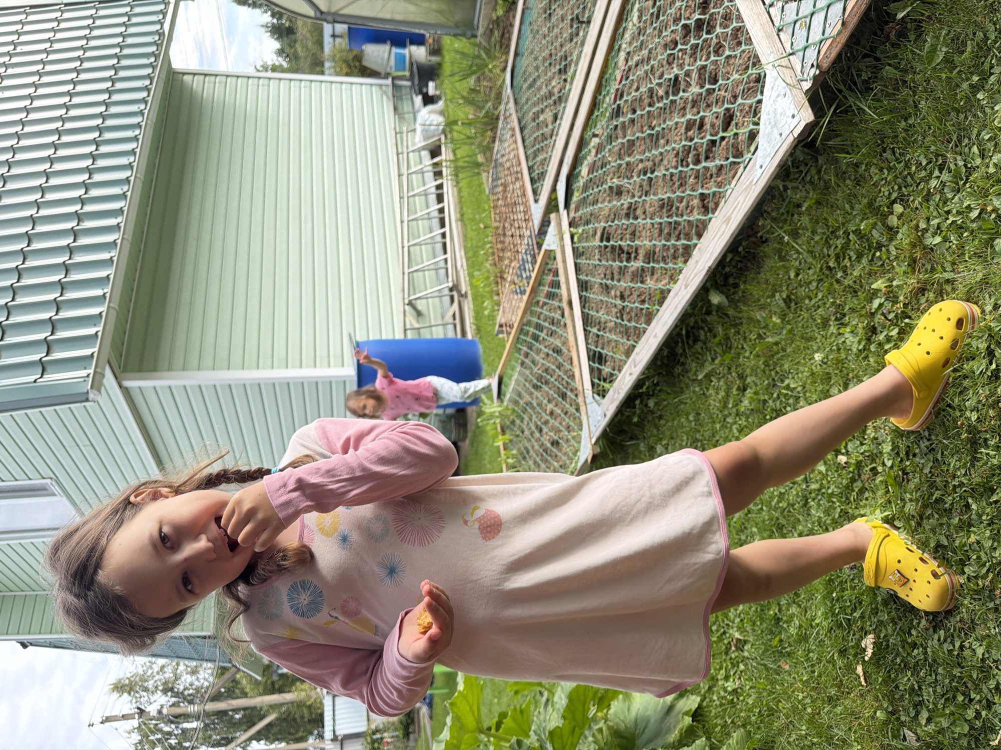 In Nizinka SNT, Russia, a young girl with braided brown hair, wearing a pink and white long-sleeved dress with a floral pattern and yellow Crocs, stands on a grassy lawn. She is holding a small piece of food in her right hand and bringing it to her mouth. In the background, another young girl in a pink shirt and light-colored pants is visible, standing near a blue barrel and a ladder leaning against a light green, two-story house with a gray metal roof. Several garden beds with mesh coverings are present on the ground, and lush green foliage is to the left of the frame.