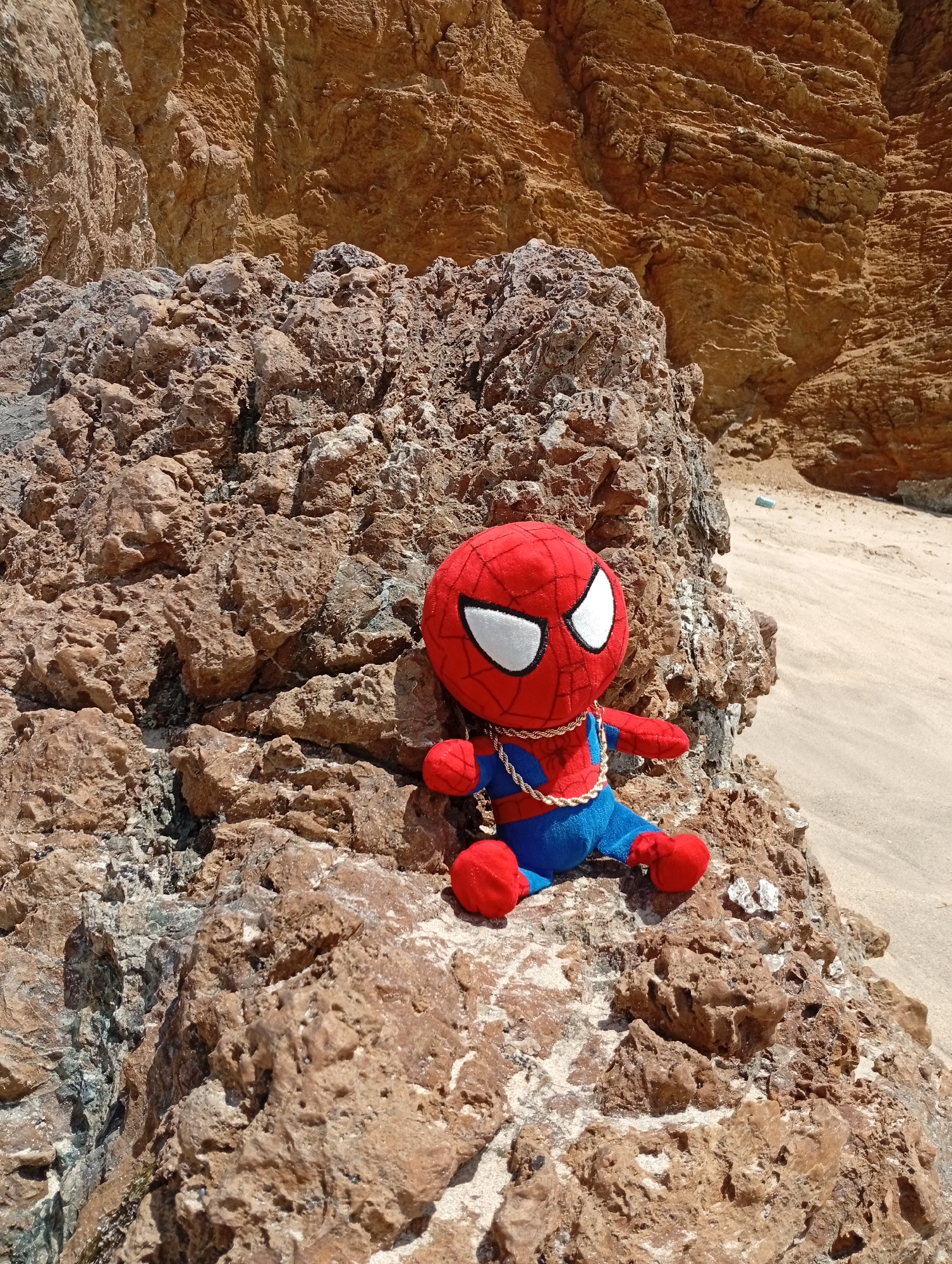 A Spiderman plush toy, adorned with a gold chain, sits prominently on a textured, reddish-brown rock in the foreground. The plush toy is primarily red and blue, with large white eyes on its mask. Its red feet and hands are visible, and the gold chain rests across its chest.
The scene is set outdoors, likely on a beach or a rocky coastline. Behind and surrounding the plush toy are large, rugged rocks and cliffs, displaying various shades of brown, orange, and some hints of grey and green, indicating their natural geological formation. The rocks have a rough, eroded texture.
To the right and further back, a stretch of light-colored sand is visible, suggesting a beach area. In the distant background, more reddish-brown cliffs rise, partially illuminated by the sun. A small, light blue, cylindrical object, possibly litter, can be seen on the sand.
The lighting is bright and sunny, casting distinct shadows and highlighting the textures of the rocks, suggesting it is daytime, possibly midday or early afternoon. There is no visible text in the image. The overall setting is rugged and natural, consistent with coastal landscapes found in areas like Pedro González, Venezuela.