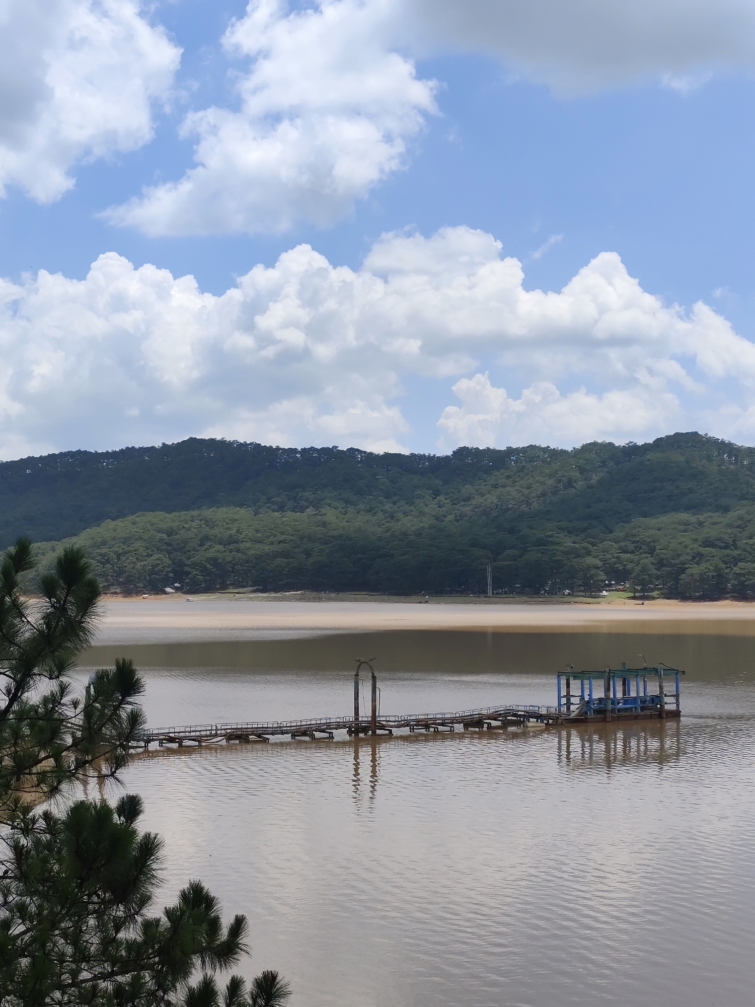 This vertical photograph captures a serene landscape in Lạc Dương, Vietnam, featuring a wide body of water surrounded by forested hills under a partly cloudy sky.
In the foreground, dark green pine branches, rich with needles, frame the lower left portion of the image, providing a natural border. The central feature is a long, narrow pier or jetty, constructed from wood and metal, that extends into the murky, brownish-tan water. This structure appears to be designed to carry pipes or utility lines, which are visible along its length. At the far end of the pier, a more substantial, rectangular structure with a roof and distinctive blue-green columns stands in the water, possibly serving as a pumping station or a covered dock. Its reflection is subtly visible on the water's surface, which shows gentle ripples.
Beyond the water, a lighter-colored strip of shoreline can be seen before the land rises into undulating hills and mountains. These slopes are densely covered with dark green trees, forming a thick forest that dominates the background. The sky above is a vibrant blue, dotted with numerous fluffy white cumulus clouds of varying sizes, suggesting clear weather.
The scene depicts a calm daytime environment. There are no people visible, and no specific activities are taking place on the pier or water, though the structures imply industrial or utility use. No text is visible in the image.
