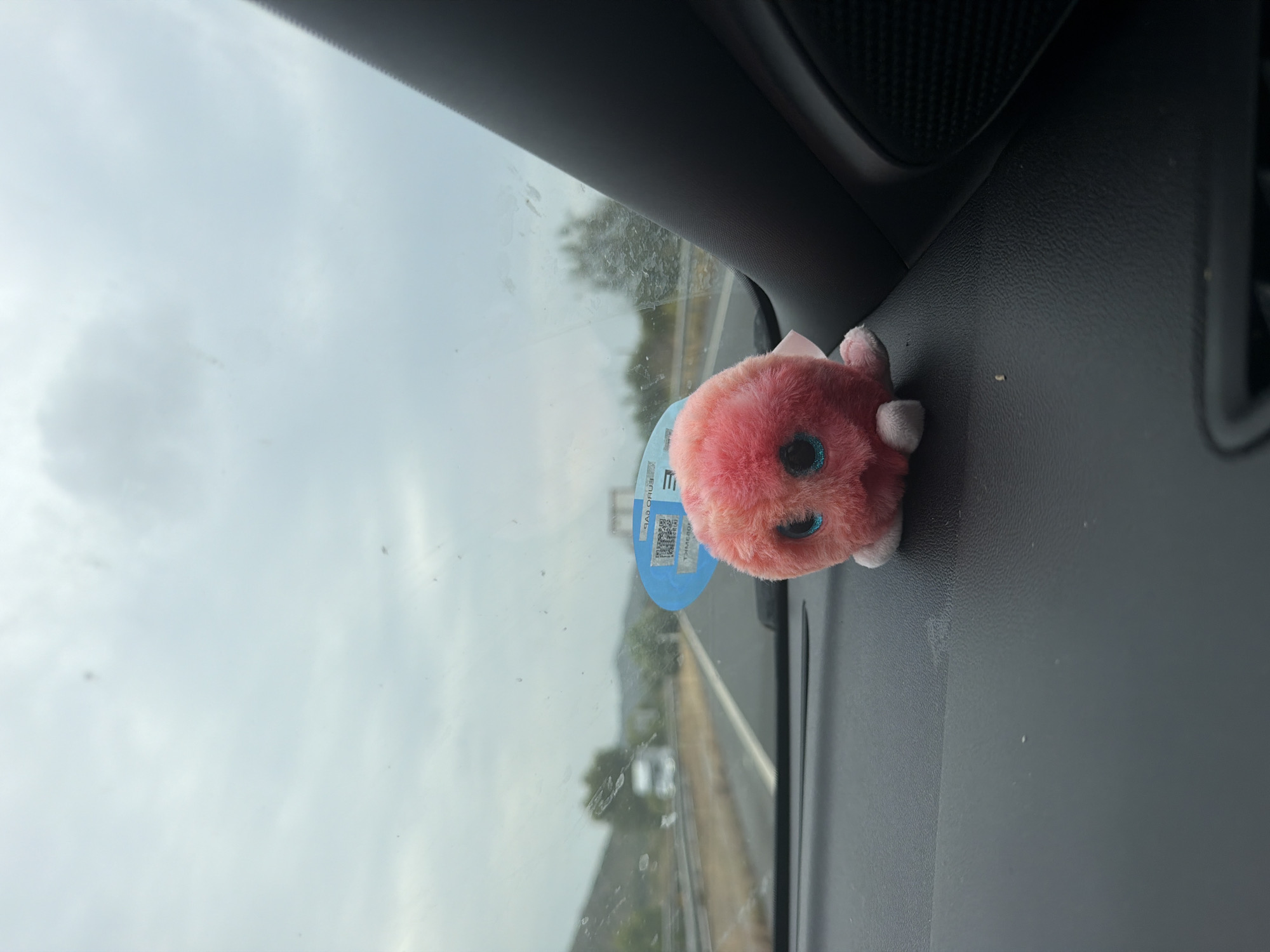 A fluffy, pink, octagonal-shaped toy with large blue eyes sits on the dashboard of a car. The toy has white feet. A blue sticker with a QR code is attached to the toy. The car is on a highway with a cloudy sky. Trees and mountains are visible in the distance. The image was taken in Cabanes, Spain.