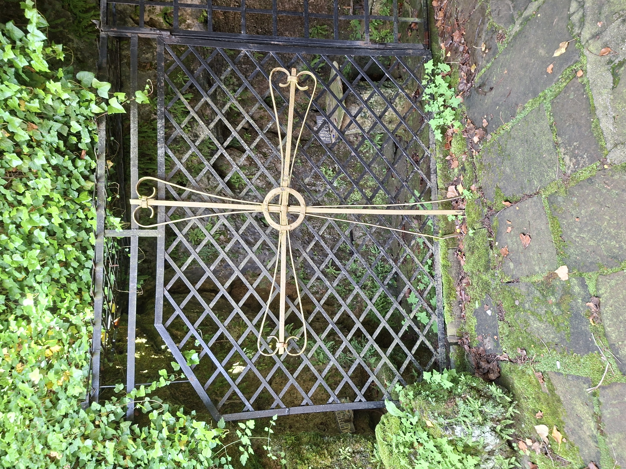 This image captures an outdoor scene in Charkovo, Bulgaria. The primary subject is an ornate, golden-colored metal cross positioned upright in the foreground. The cross features a central circular element and stylized heart-shaped scrolls at the ends of its horizontal arms and the top of its vertical arm.
Behind the cross, a dark metal fence with a diagonal lattice pattern extends across the frame, forming a barrier. Abundant green ivy (Hedera helix) grows over the top and along the sides of this fence, cascading down the wall behind it. The background behind the fence reveals a dark, uneven surface, likely rock or earth, covered with moss and various green plants, including ferns.
Two small signs are discernible behind the fence. On the left side, partially obscured by the fence bars, a sign displays the Cyrillic text "ЖЕРТВО" (ZHERTVO), meaning "Offering" or "Sacrifice." On the right side, positioned on a small stone pedestal or shelf behind the fence, a black plaque with white Cyrillic text reads "СВЕЩИ И ПРЕСТОЛ" (SVESHTI I PRESTOL), which translates to "Candles and Altar."
The ground in the immediate foreground consists of irregularly shaped stone slabs or flagstones. Moss and small green plants fill the crevices between these stones. Scattered dry brown leaves are distributed across the paved surface. No individuals or direct actions are depicted within the scene.
