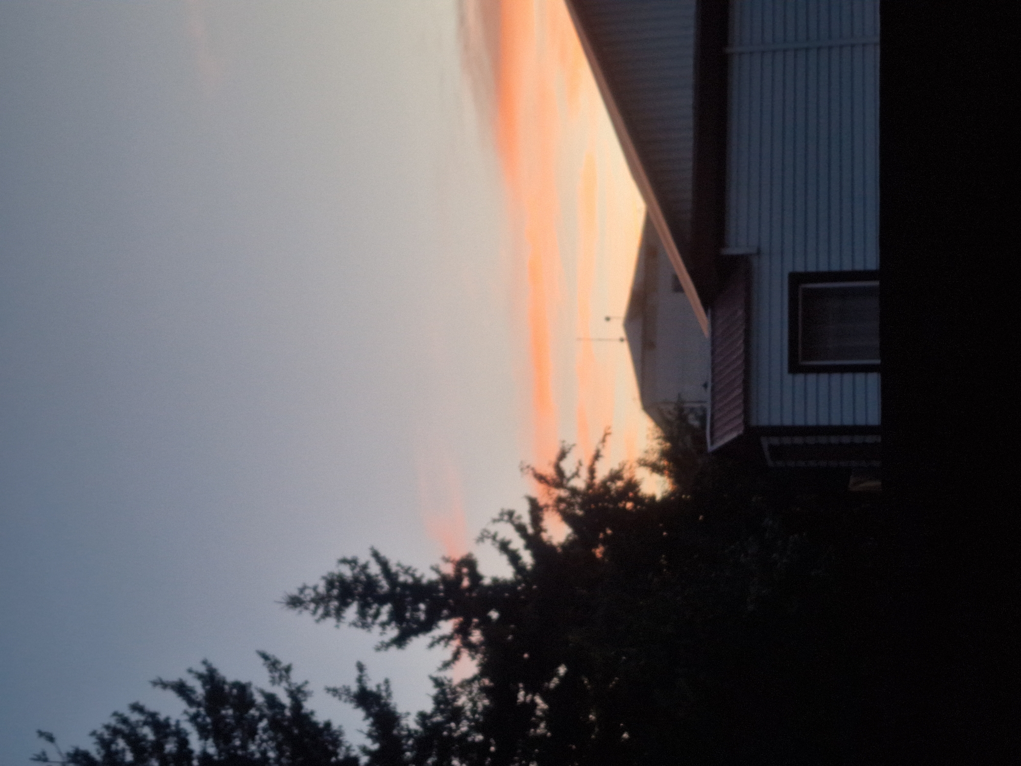 The image depicts a twilight scene in the city of Makinsk, Kazakhstan. The sky is a gradient of pale blue and soft orange, with hints of pink clouds. Silhouetted against the sky are the dark forms of evergreen trees, their branches reaching upwards. In the foreground, partially obscured by darkness, are parts of residential structures. One building features white siding with horizontal lines and a red-toned roof. Another structure behind it, also appearing to be a building, has a lighter, possibly white or grey facade and a sloping roof. A dark, horizontal fence or barrier runs across the bottom of the frame, separating the viewer from the structures. The overall impression is one of a quiet evening in a residential area.