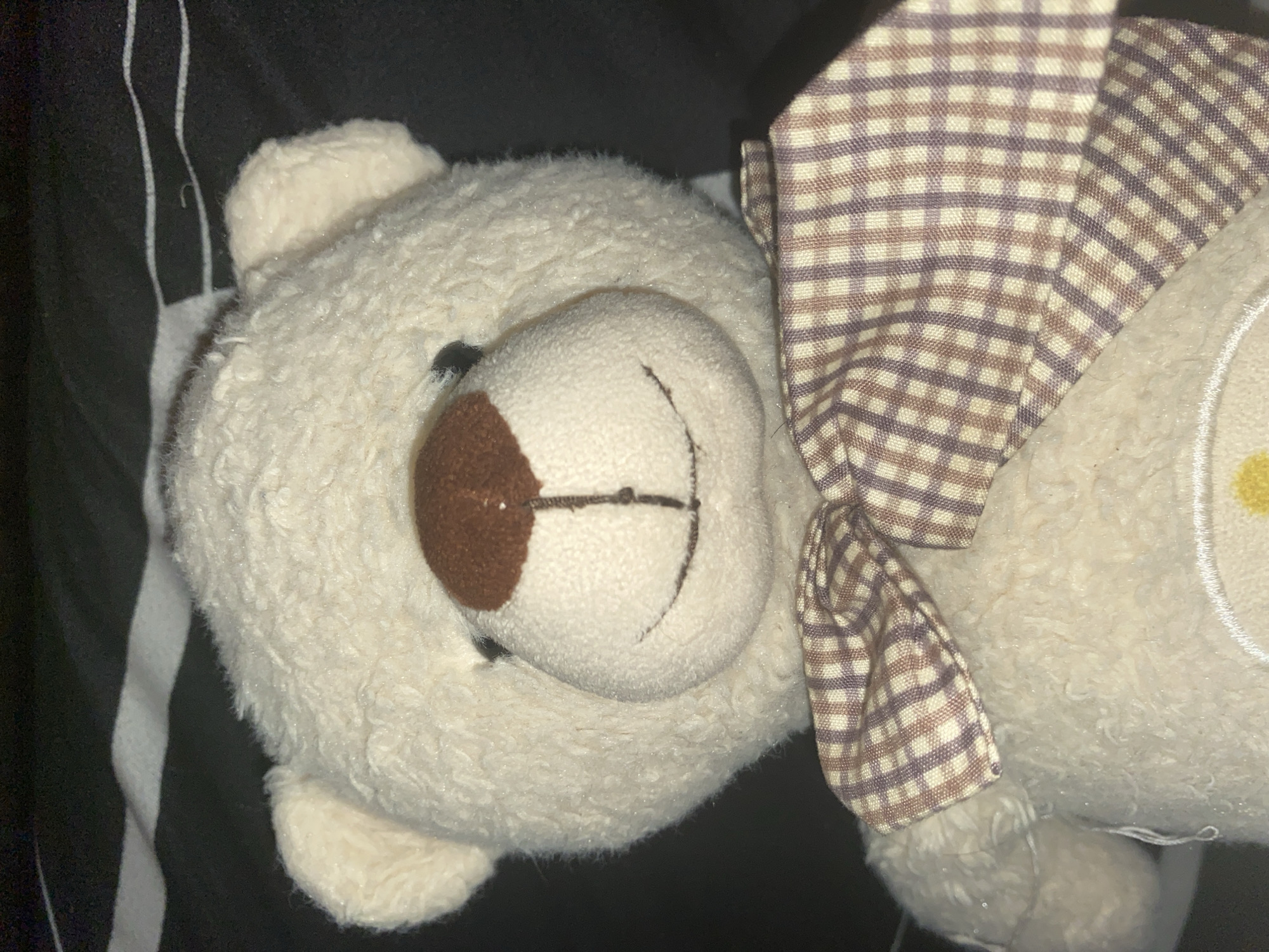A close-up shot of a white, plush teddy bear with a brown, rounded nose. The bear has a plaid bow tied around its neck. The background is dark, with a contrasting white stripe visible on one side. The location and time are unknown.
