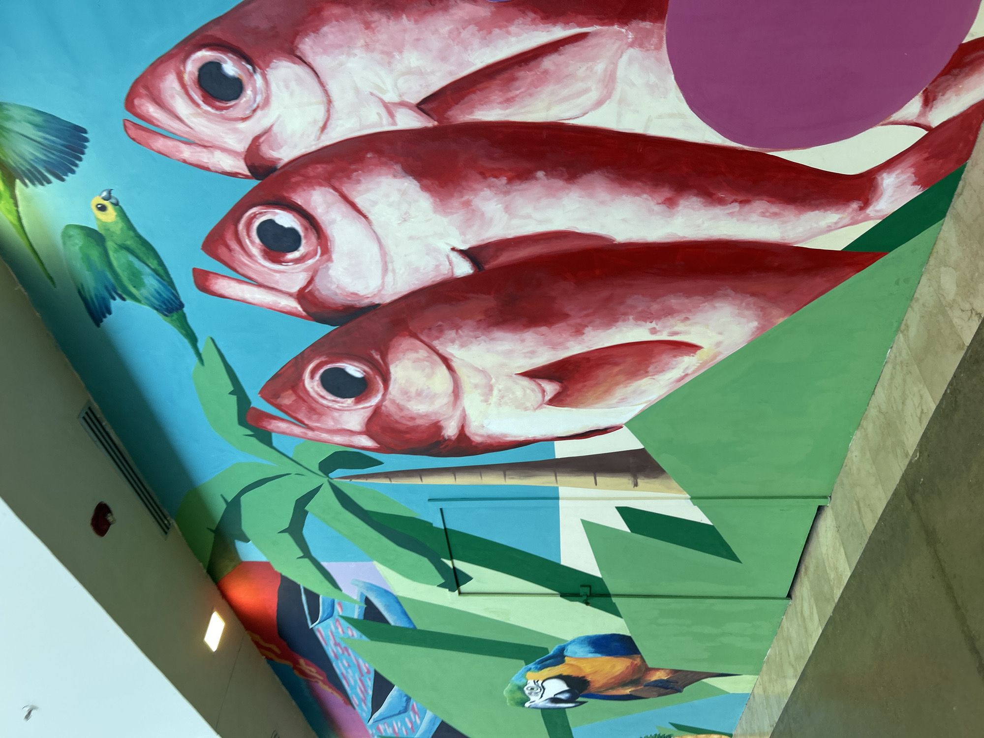 The image shows a brightly colored mural on a wall in Pampatar, Venezuela. The mural depicts a tropical scene with three large red fish in the foreground, their scales and eyes rendered in detail. Behind the fish, a palm tree and lush green foliage are visible, with two green parrots flying in the blue sky. To the left, a colorful macaw perches on a branch. The mural is painted with bold strokes and vibrant colors, creating a lively and engaging visual. The wall appears to be part of an outdoor or semi-outdoor space, as indicated by the lighting and the floor texture.