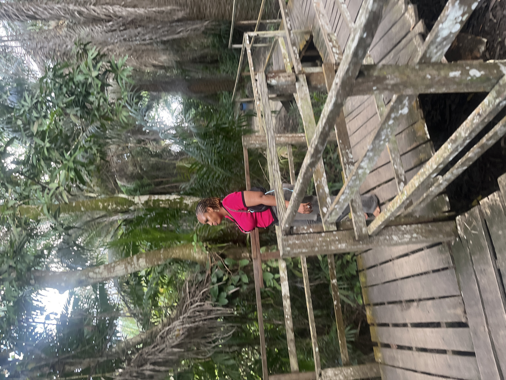 A woman with braided hair, wearing a bright pink shirt and gray pants, walks along a weathered wooden boardwalk in a lush, green forest. The boardwalk, constructed of rough-hewn planks, winds through dense vegetation with tall trees and palm fronds. The woman is seen from the side, walking to the left of the frame, with a dark bag slung over her shoulder. The lighting suggests an overcast day, with diffused sunlight filtering through the canopy. The environment appears to be a natural reserve or park, possibly part of the Lekki Conservation Centre in Lekki, Nigeria, given the tropical flora and the boardwalk infrastructure common in such protected areas. The overall impression is one of a serene walk through nature.