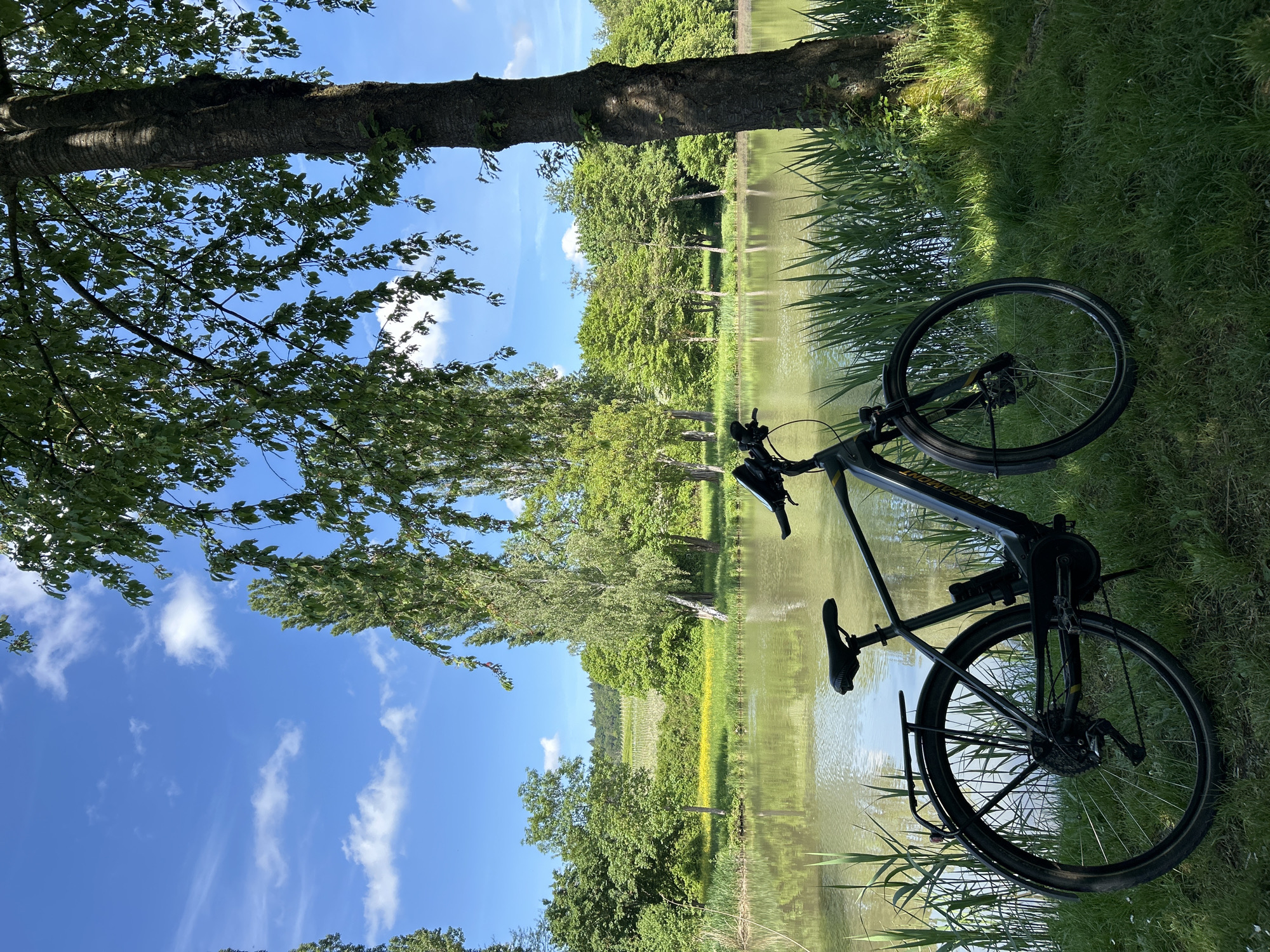 A bicycle lies on its side in the grass near a body of water, likely a pond or lake, in Flein, Germany. The bike is predominantly black. Trees and greenery surround the water, reflecting in its surface. The sky is blue with scattered clouds. A tree trunk is visible in the upper left of the image.