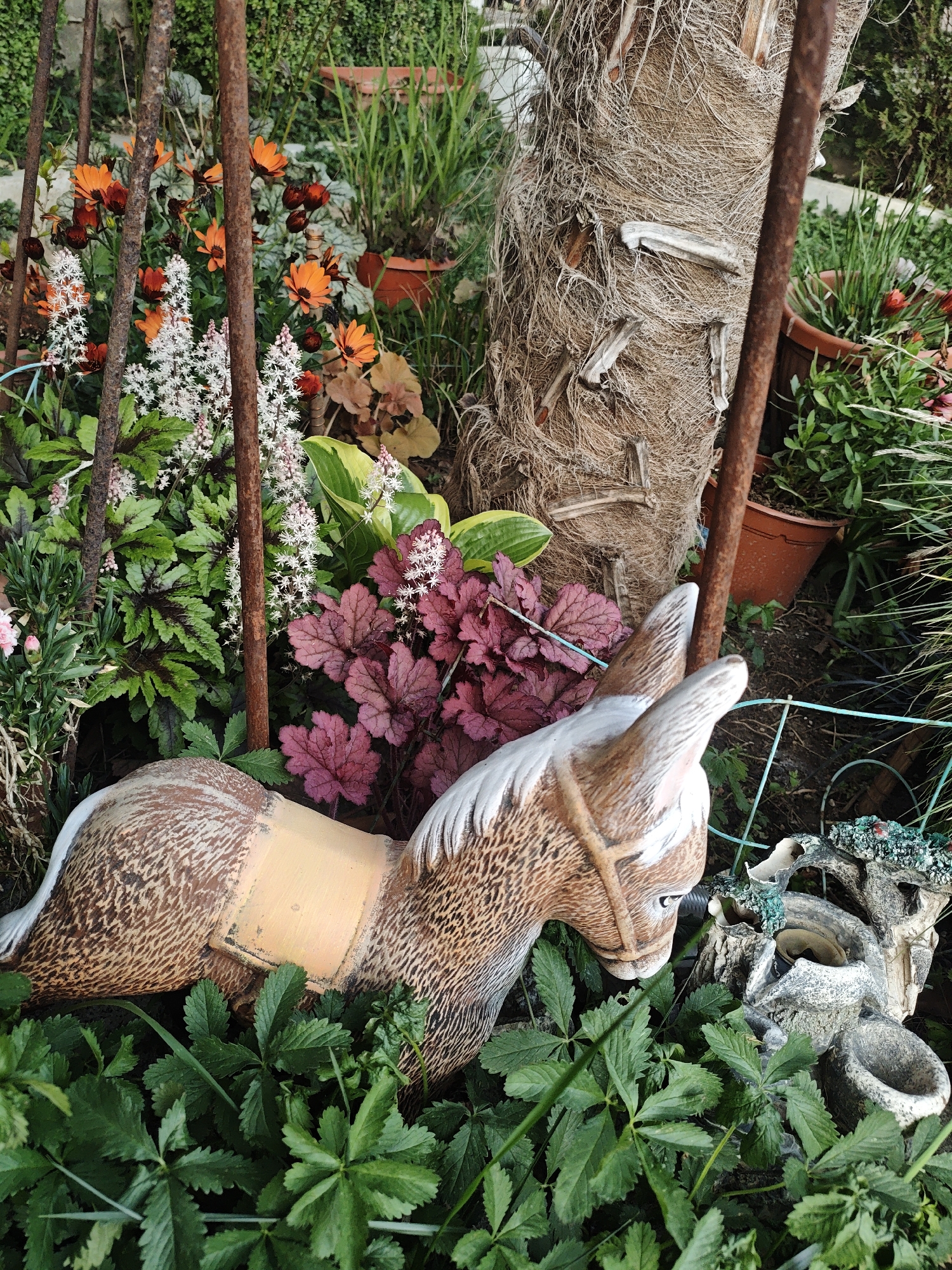 The image depicts a garden scene in an unknown location. A ceramic donkey figurine lies among various plants and a decorative rock formation. The donkey is brown with a white mane and tail, and a yellow saddle. The plants include white-flowered stalks, orange flowers, and broad green leaves. A small artificial waterfall feature sits next to the donkey, and a palm tree trunk with rusty metal poles is visible in the background. Other potted plants are dispersed throughout the garden.