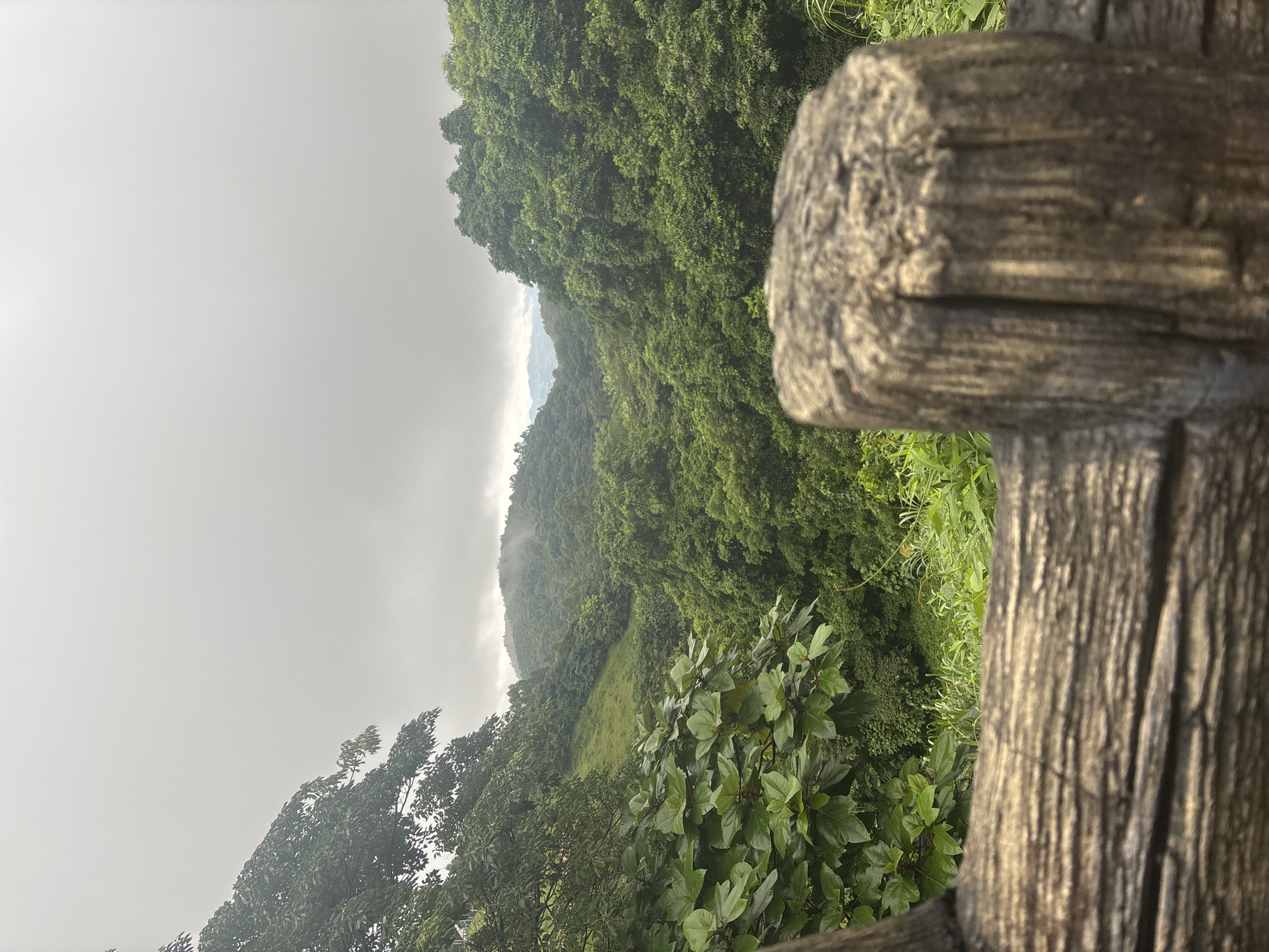 The image depicts a lush, verdant valley viewed through a weathered wooden railing. The foreground is dominated by the textured surface of the wooden railing, with a prominent, rough-hewn post in the center. Beyond the railing, the landscape unfolds into rolling hills covered in dense, dark green foliage. The distant mountains are shrouded in a soft, grey mist, and the sky above is overcast with a uniform grey hue, suggesting a cool, possibly humid, climate. The vegetation appears to be a mix of trees and undergrowth, with a patch of brighter green grass visible on a hillside. There are no people, animals, or man-made structures visible in the scene, apart from the wooden railing. The overall impression is one of natural beauty and tranquility. The location of this scene is unknown.