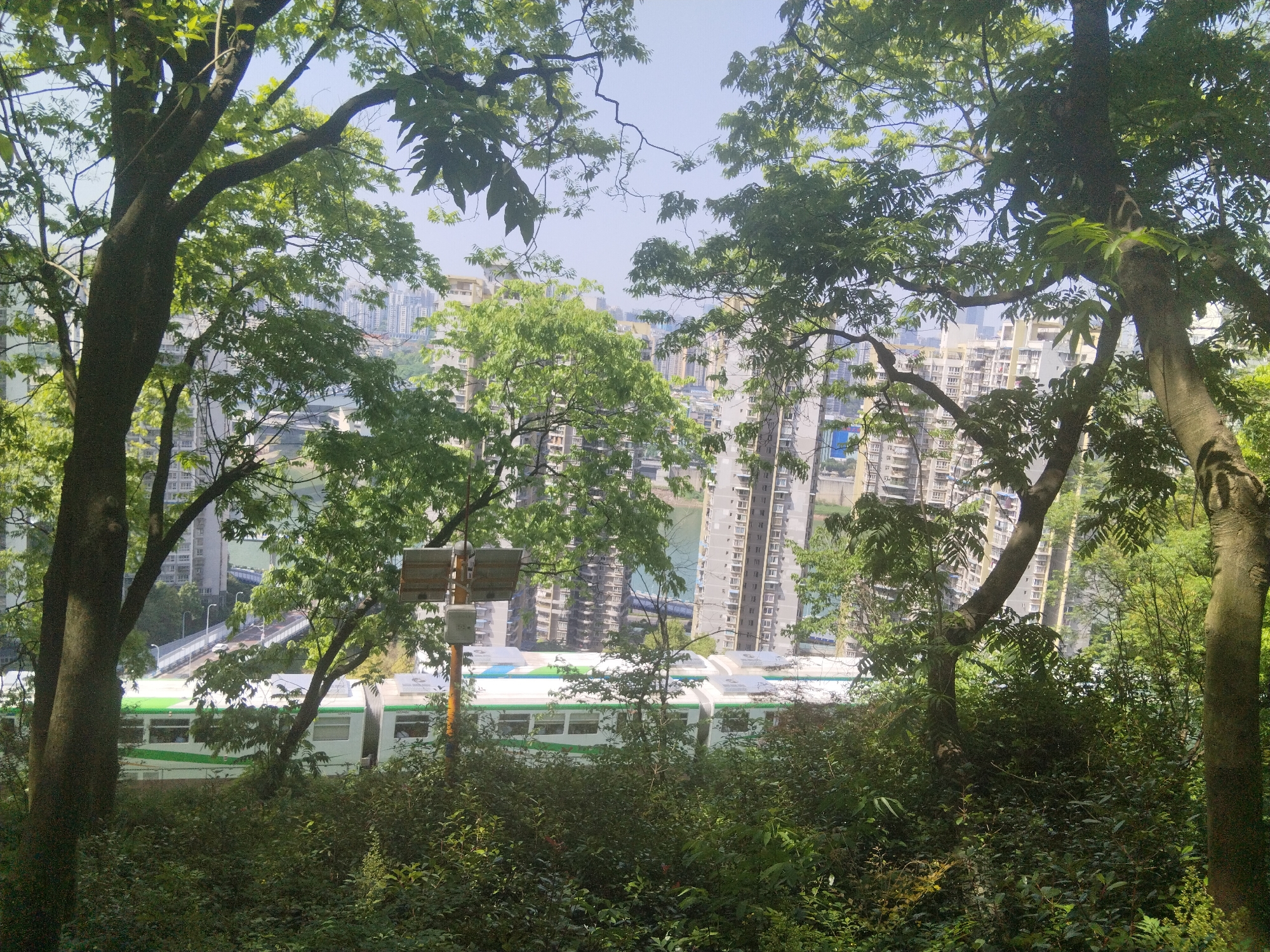 The image depicts an urban landscape partially obscured by lush greenery. The vantage point appears to be from a hillside or elevated park area in Yuzhong District, China. In the background are densely packed high-rise apartment buildings characteristic of the urban development in Chongqing. A river or waterway bisects the cityscape, reflecting the sky. In the midground, a train with a white and green exterior is visible, suggesting the presence of a public transportation system. The foreground is dominated by trees and dense vegetation, creating a sense of being enveloped by nature within a city environment. A small utility pole and electrical fixtures are visible among the trees. The sky is clear and bright, suggesting a sunny day. There are no people visible.