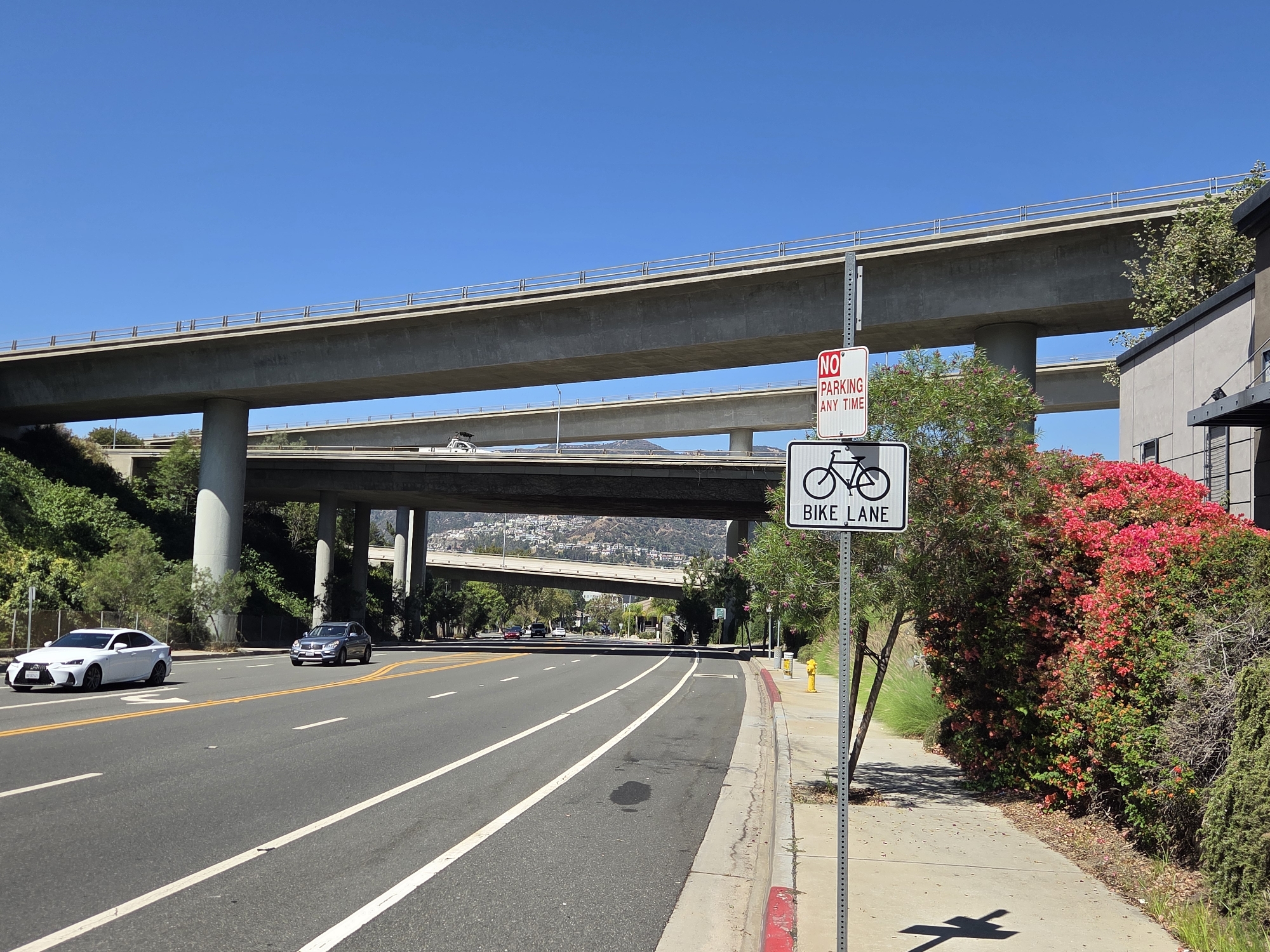 An eye-level, wide-angle shot captures a sunny day in Glendale, California, with multiple elevated highways dominating the background and a street scene in the foreground. The sky is a clear, vibrant blue. The most prominent features are the concrete overpasses of the Glendale 134 and 210 freeways. One overpass, a multi-lane concrete structure, is in the upper part of the frame, supported by large, cylindrical concrete pillars. Beneath it, another, wider overpass is visible, also concrete.
In the foreground, a two-lane road runs from left to right. The lanes are marked with double yellow lines and white lane dividers. A white Lexus sedan is in the left lane, and a silver SUV is in the right lane, both moving away from the viewer. To the right of the road is a sidewalk, separated by a red-painted curb. A sidewalk is also present to the far right, bordered by lush greenery and flowering bushes with bright pink and red blooms.
A metal pole stands on the sidewalk, displaying two signs. The upper sign is rectangular and red with white text reading "NO PARKING ANY TIME." Below it is a square white sign with a black silhouette of a bicycle, indicating a "BIKE LANE." A yellow fire hydrant is visible behind the pole. The road surface shows some minor discoloration. The overall scene suggests an urban environment with significant infrastructure.