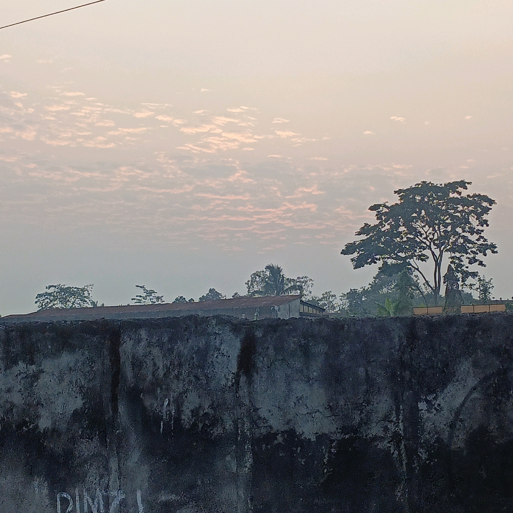 The image depicts a serene outdoor scene at dusk, potentially in Salatiga, Indonesia, characterized by a tranquil sky and a shadowed foreground. A prominent dark, textured wall dominates the lower half of the frame, exhibiting signs of age and wear. Faint graffiti, possibly "PIMZ I", is visible on the wall's surface.
Above the wall, a landscape unfolds under a soft, pale sky streaked with delicate, wispy clouds, tinged with hues of pink and orange, suggesting the fading light of sunset. Silhouettes of trees and a building with a rusty roof punctuate the middle ground. A large, leafy tree stands out to the right, its branches forming an intricate silhouette against the sky. The overall atmosphere is one of quietude and natural beauty, with hints of urban elements from the wall and building.