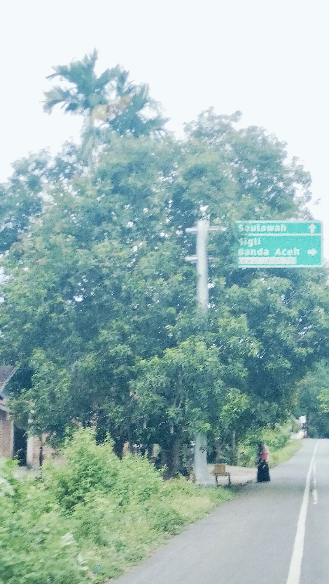 The image depicts a rural or semi-rural roadside scene in Payakeureuleh, Indonesia, on what appears to be an overcast or hazy day. A paved road extends into the distance, marked with a solid white line on the right edge and a broken white line further left, indicating a two-way street.
Dense green vegetation, including numerous trees and thick bushes, lines both sides of the road, suggesting a lush, possibly tropical, environment. In the mid-ground, a prominent green road sign is mounted on a pole amidst the trees. The sign provides directions: "Seulawah" and "Sigli" are indicated with an upward-pointing arrow, while "Banda Aceh" has a right-pointing arrow. There is a faint, unreadable line of text beneath "Banda Aceh."
On the right side of the road, a person, likely a woman, is visible. She is dressed in dark clothing, possibly a skirt or long dress, and a top with a visible reddish or orange back. She appears to be standing or walking near a small, light-colored wooden bench or stool placed at the roadside. In the background, above the main tree line, a tall palm tree with distinct fronds stands out against the bright, whitish sky. To the far left, a glimpse of a building with a light-colored wall can be seen through the foliage. The overall image has a slightly washed-out and soft focus quality, possibly due to lighting conditions or being captured from a moving vehicle.