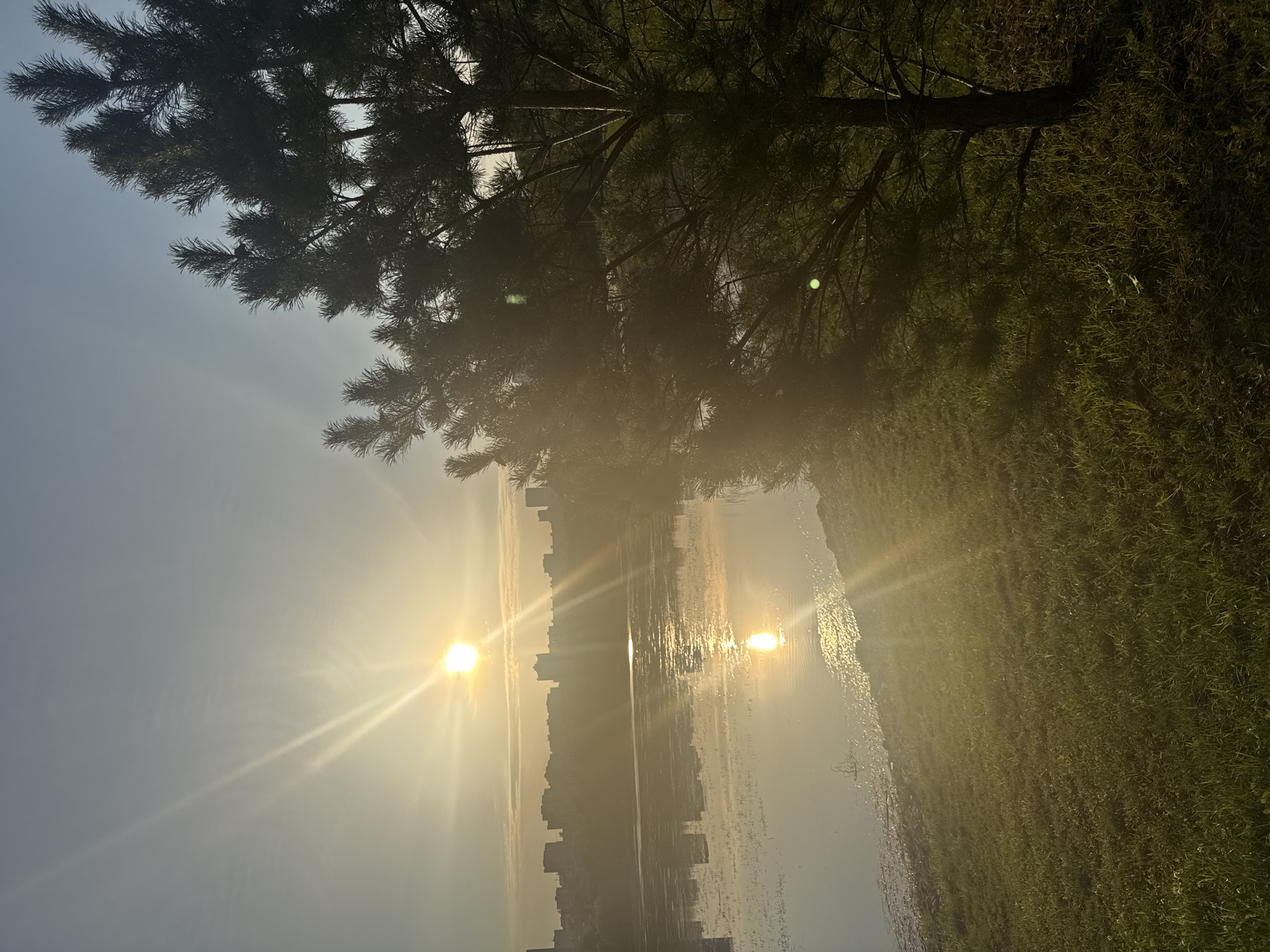 This is a photograph of a body of water with a city skyline in the background, viewed from a grassy embankment next to a pine tree. The sun is low in the sky, casting a bright glare and lens flare across the image. The sun's reflection is visible on the surface of the water. The pine tree is silhouetted against the bright sky and water in the foreground. The city appears to be comprised of several high-rise buildings. The scene suggests a tranquil, natural setting within an urban environment. It is likely located in Ufa, Russia, near a waterfront area that provides views of the city skyline. No people are visible in the image.