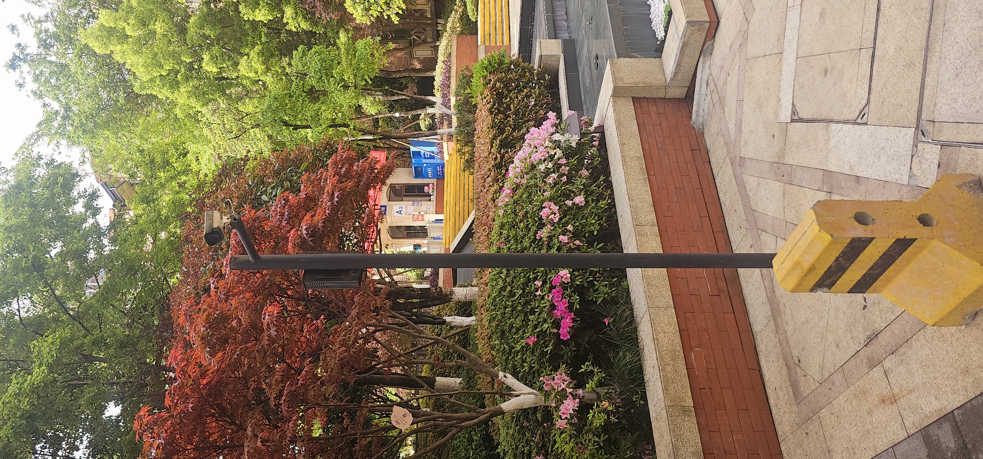 The scene depicts an outdoor area in Jiulongpo District, China. The foreground features a yellow and black striped barrier on a patterned stone walkway. A black metal pole extends horizontally across the frame, connecting to a security camera mounted near a tree with red foliage. Beyond the walkway, a low brick wall borders a flower bed with pink and white blossoms and greenery. Further back, a building with blue signage and yellow stairs is visible amidst green trees. The overall environment suggests a well-maintained urban landscape.