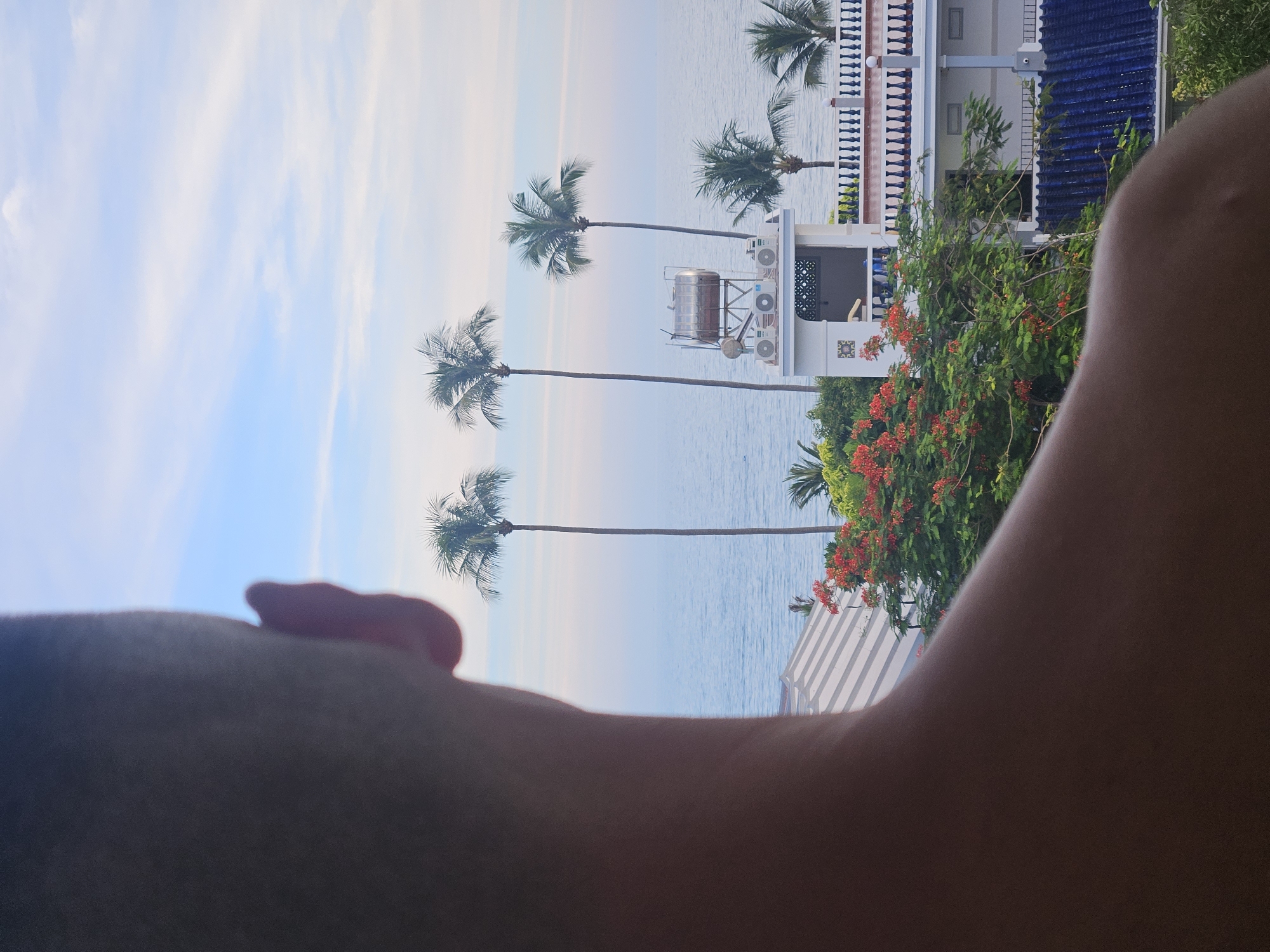 The image shows a close-up of the back of a person's head and shoulder, obscuring part of the view. Beyond the person, a tranquil ocean scene unfolds under a light blue sky with wispy clouds. Several tall palm trees punctuate the horizon, their fronds swaying gently. In the mid-ground, a white building with a distinctive blue tiled roof is visible, featuring balconies with decorative railings. A water tank and several air conditioning units are mounted on the roof of a lower section of the building. Lush green foliage and bright red flowers are interspersed with the buildings, suggesting a tropical or sub-tropical environment, likely in Phu Thuy Ward, Vietnam, known for its coastal resorts and tropical flora. The overall impression is one of peaceful relaxation and scenic beauty.