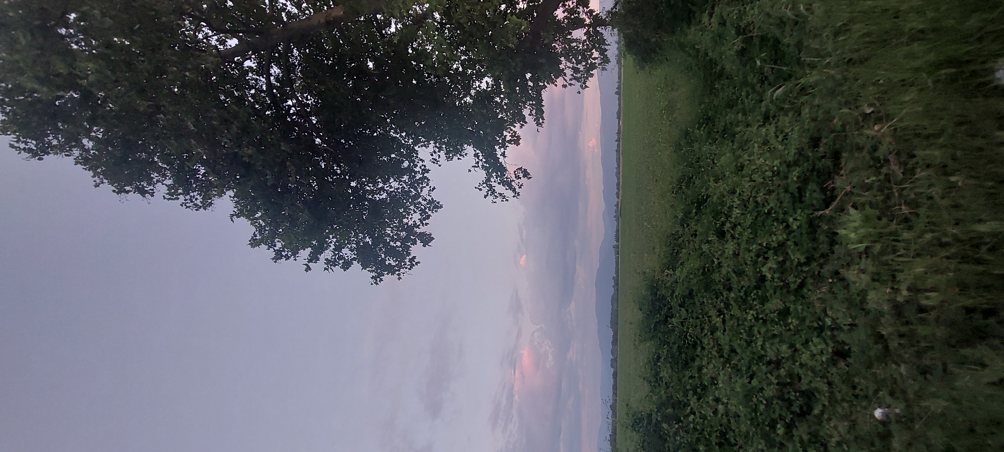 The image depicts a landscape in Cheshnegirovo, Bulgaria, featuring a field or meadow stretching towards the horizon. A dense cluster of foliage, likely trees, is prominent in the upper-left area of the frame. A line of vegetation, potentially bushes or a thicket, runs along the right side of the scene. The sky is overcast with clouds, and the light suggests either dusk or dawn. Mountains can be seen in the distant background.