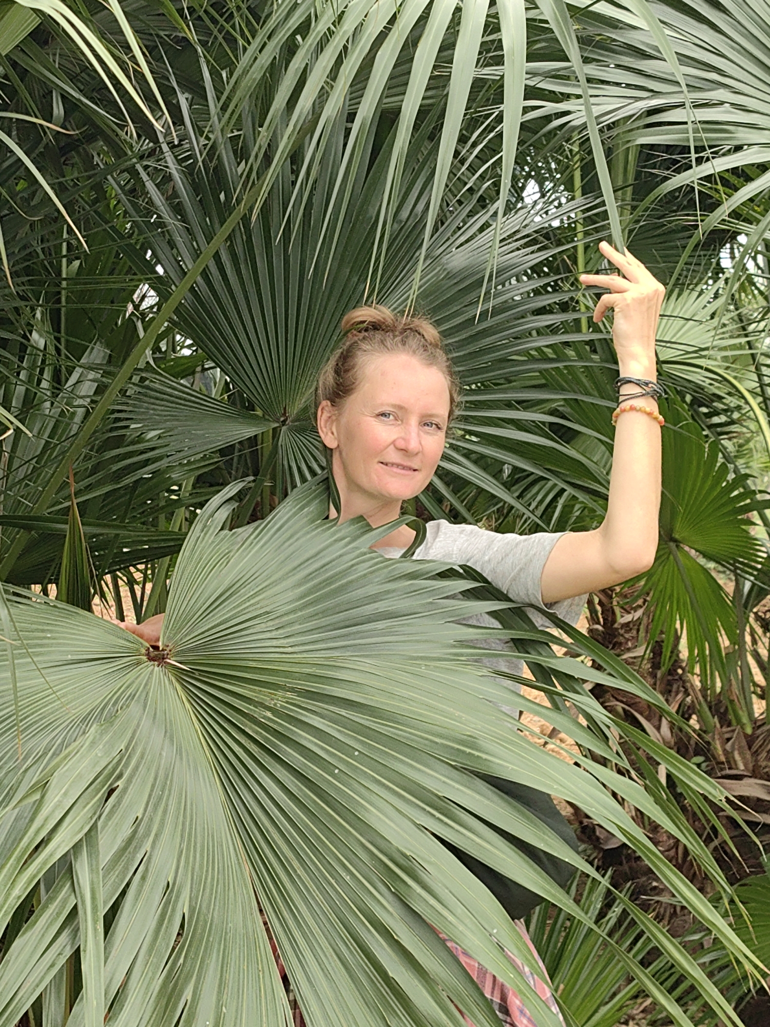 In Bai Chay Ward, Vietnam, a woman is centrally framed amidst dense palm fronds. She is fair-skinned with her hair pulled back in a bun, wearing a grey shirt and wrist bracelets. Her right arm is raised, hand extended. She partially obscures herself with a large palm leaf held to her left. Behind her are more palm leaves of varying sizes and directions. The light appears soft and diffused.