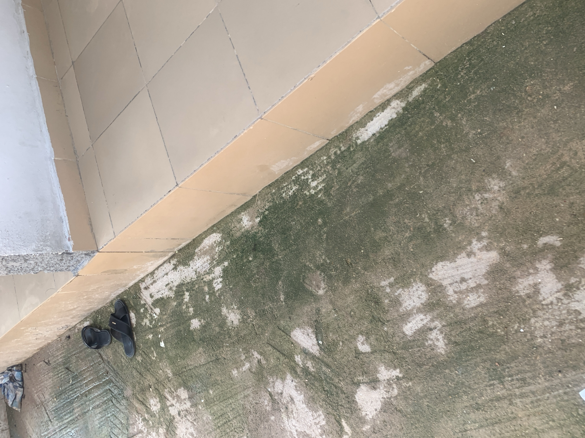 In the city of Jauro Yinu, Nigeria, a pair of black flip-flops rests on a patch of ground. The ground is partially covered with patches of green moss and light-colored dirt. To the right of the ground is a raised tiled surface, composed of square, light brown tiles. A white wall borders the top of the tiled surface. In the upper left corner, a crumpled piece of blue and white patterned fabric is visible.