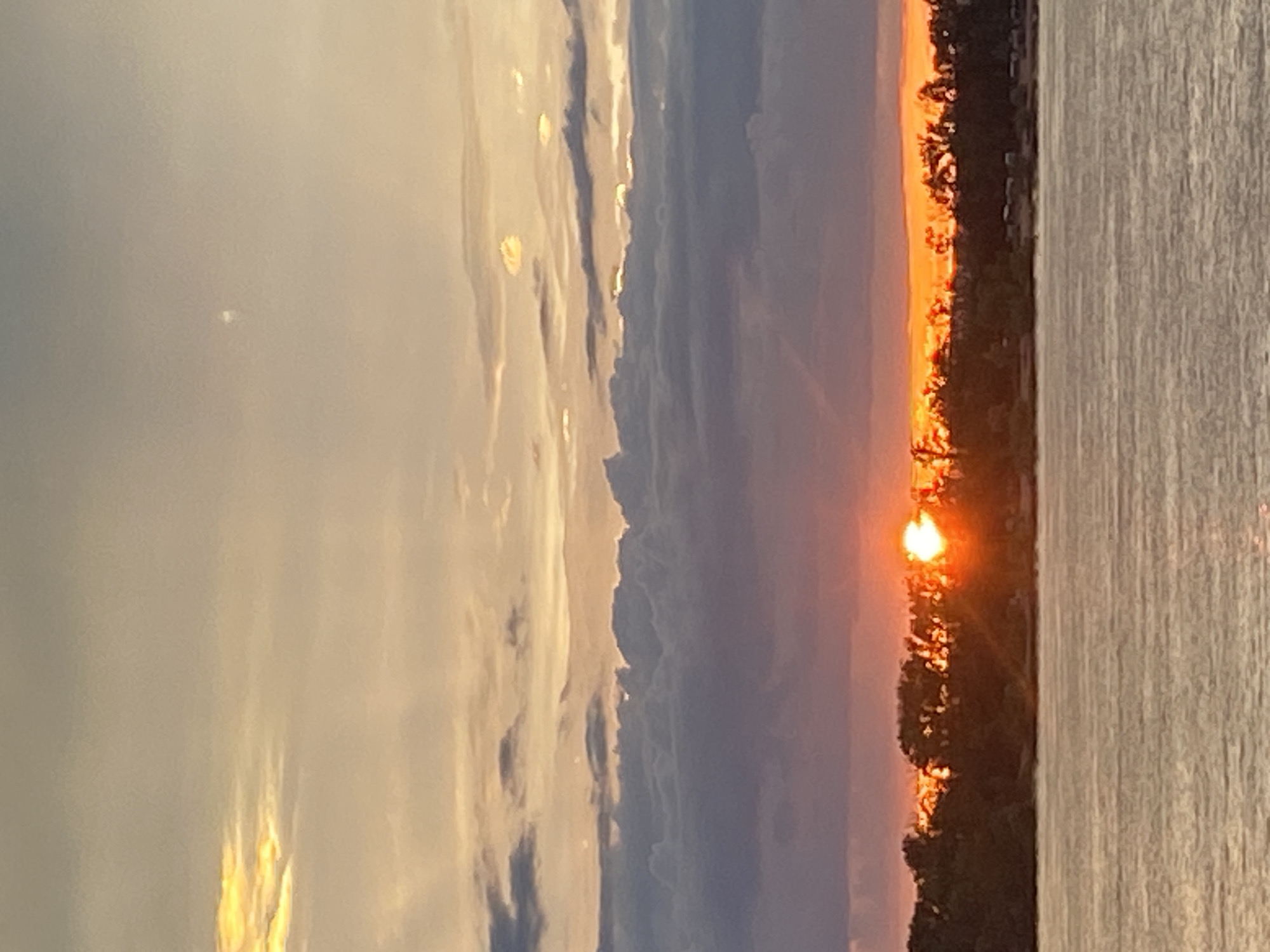 The image depicts a sunset over a body of water, likely a river or lake, in Novokuybyshevsk, Russia. A silhouetted tree line is visible along the horizon, with the sun partially obscured by the trees, casting a bright orange glow. The sky is filled with clouds, ranging in color from light gray to deep purple, with streaks of pink and orange where the sunlight diffuses through them. The water in the foreground reflects the colors of the sky, creating a soft, shimmering effect. The scene is serene and atmospheric, capturing the natural beauty of a sunset. There are no people or specific identifiable structures visible in the image, focusing solely on the natural elements of the landscape.