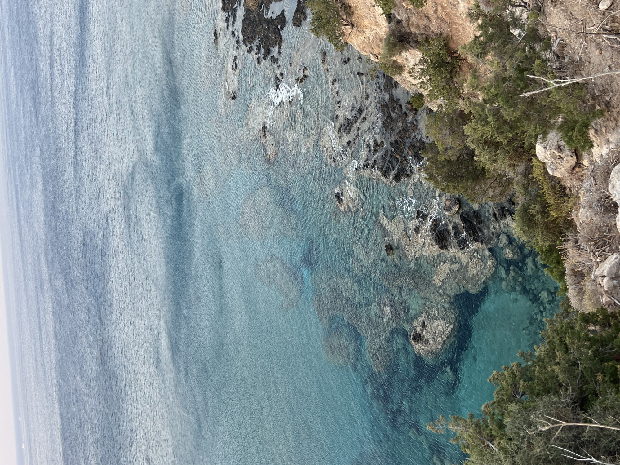 The image depicts a coastal view from a high vantage point overlooking the sea in Neo Chorio, Cyprus. The foreground is dominated by a rocky cliffside covered in sparse, dry vegetation and green shrubs. The cliff slopes down towards the sea, which is a gradient of blue and turquoise. The water is clear, revealing submerged rocks and coral formations. Small waves are breaking against the rocky shore. In the distance, the sea stretches towards a hazy horizon, with two small white specks that appear to be boats. The lighting suggests it is either early morning or late afternoon.