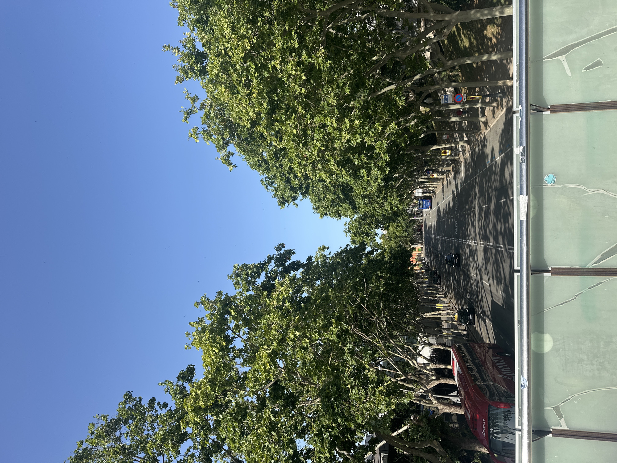The image depicts a tree-lined street in Barcelona, Spain, on a clear, sunny day. The perspective is from an elevated viewpoint, looking down onto the road and the canopies of the large trees. The trees, which appear to be plane trees, flank both sides of the street, creating a shaded avenue.
The street is a multi-lane road with vehicles, including cars and a red bus, visible in the distance. Some of these vehicles are obscured by the trees. There are also traffic signs visible along the side of the road, including what appear to be parking signs and a speed limit sign. The presence of these signs, along with the general urban infrastructure, suggests a city environment.
On the right side of the image, there is a partial view of a modern structure with a large, translucent green panel, possibly part of a building or a public space. This structure has a metallic railing running along its edge. There are some stickers or decals on the green panel.
The sunlight casts distinct shadows from the trees onto the road, indicating it is likely daytime, possibly late morning or afternoon given the angle of the sun. The sky is a vibrant blue, with no clouds visible, suggesting fair weather. The overall scene conveys a peaceful and pleasant urban atmosphere, characteristic of a sunny day in a European city.
There is some text visible on the red bus: "Lorenzo".
