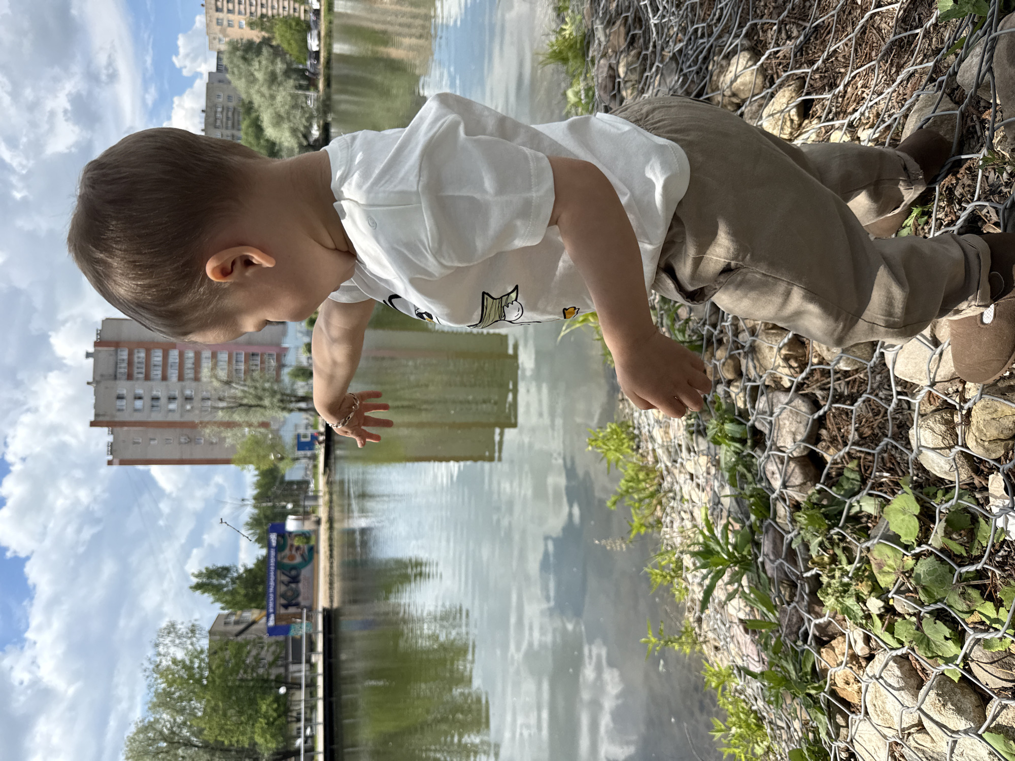 An outdoor, brightly lit photograph captures a young child intently observing a body of water. The child, likely a toddler, has short brown hair and is dressed in a white short-sleeved t-shirt with a cartoon penguin graphic on the front, tan trousers, and brown slip-on shoes. He is positioned on a sloped bank, reinforced with wire mesh filled with rocks (gabions), where some green plants sprout through. Leaning forward with one hand slightly extended towards the water, he appears captivated by its surface.
The calm water acts as a mirror, reflecting white cumulus clouds against a blue sky, as well as tall, multi-story residential buildings and lush green trees lining the opposite bank. On the far side of the water, a large blue sign with white graphics and Cyrillic text, prominently featuring the number "1936," is visible among the greenery and structures.
The scene suggests a warm, sunny day, likely mid-day, given the clear illumination and visible shadows. The overall atmosphere conveys a sense of peaceful childhood exploration and curiosity in a public park or canal-side setting, consistent with an urban area. An adult's hand, adorned with a bracelet, is partially visible on the left edge of the frame, hinting at supervision.