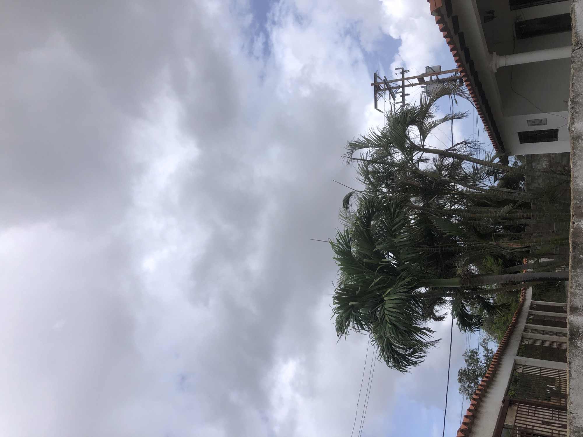 The image captures an overcast sky with patches of blue peeking through thick, gray clouds, suggesting a possibly humid or rainy day. In the foreground, a cluster of tall palm trees with lush green fronds dominates the central and left portions of the frame. To the right, a utility pole with wires and a transformer is visible, indicating the presence of urban infrastructure. Below the trees and the utility pole, the rooftops of two buildings are visible, characterized by terracotta tiles. The building on the left appears to be a low-rise structure with a white facade and a decorative metal fence. The building on the right is also low-rise with a white facade and columns supporting a roof overhang, and it features a dark-colored window. The scene appears to be set in a residential or semi-urban area, possibly in La Tagua, Venezuela, given the architectural style and vegetation. No people or animals are present in the image.