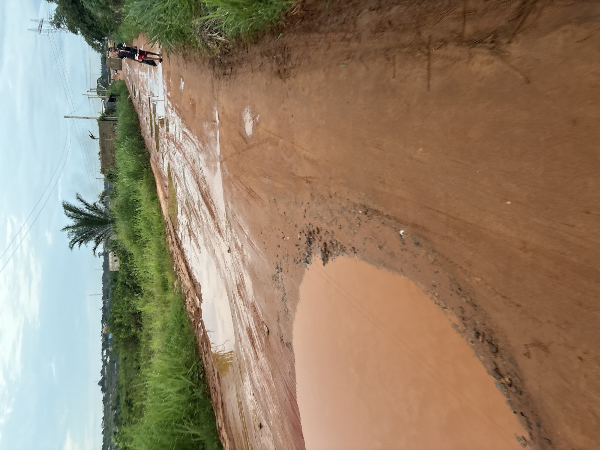 The image depicts a muddy, unpaved road in Obosi, Nigeria, after rainfall. The road is characterized by numerous large puddles of reddish-brown water and tire tracks from vehicles. Lush green grass and vegetation line the sides of the road. In the background, houses and buildings can be seen, along with utility poles and power lines. A person is visible in the middle ground, walking on the road carrying a dark bag. The sky is overcast. The overall scene suggests a rural or semi-rural setting experiencing wet weather conditions.