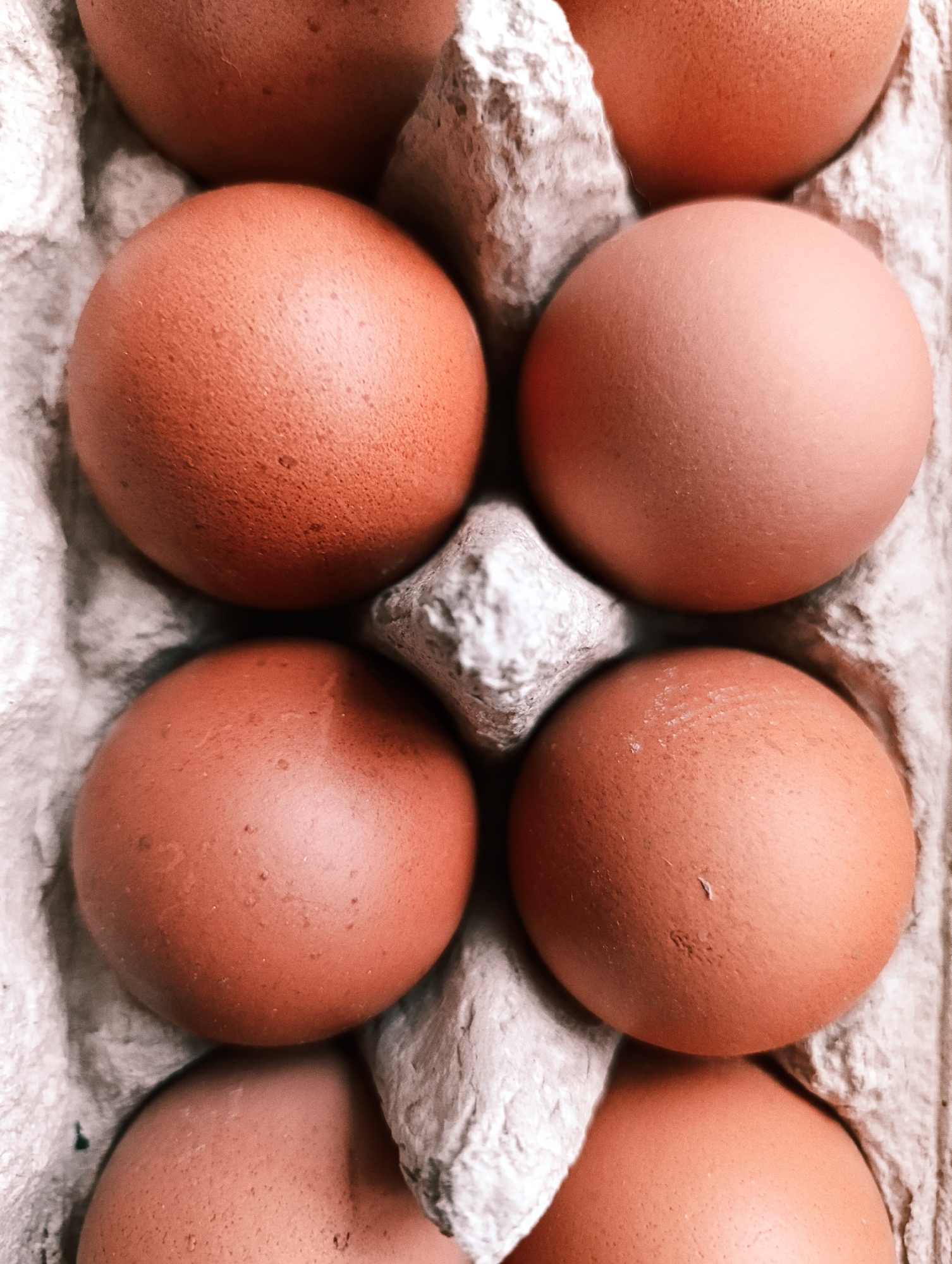 The image displays a close-up, top-down view of six brown eggs nestled within a grey, molded pulp egg carton. Several eggs are fully visible, while others are partially cropped at the top and bottom edges of the frame. The eggs are uniformly light brown, suggesting they are chicken eggs, and exhibit a natural, slightly textured surface. Some minor speckles and variations in shell appearance are present on individual eggs. The carton itself is made from a light-colored, fibrous material, typical of recycled paper products, and features the distinctive depressions designed to hold each egg securely.
There is no specific activity or event taking place; the eggs are static in their packaging. The lighting is soft and even, highlighting the spherical contours of the eggs and the textured nature of both the eggshells and the carton. No specific time of day or weather conditions are discernible. There are no explicit location cues within the image itself to indicate Saratov, Russia, beyond the provided context. No text or branding is visible on the eggs or the carton. The overall impression is one of natural, everyday items.