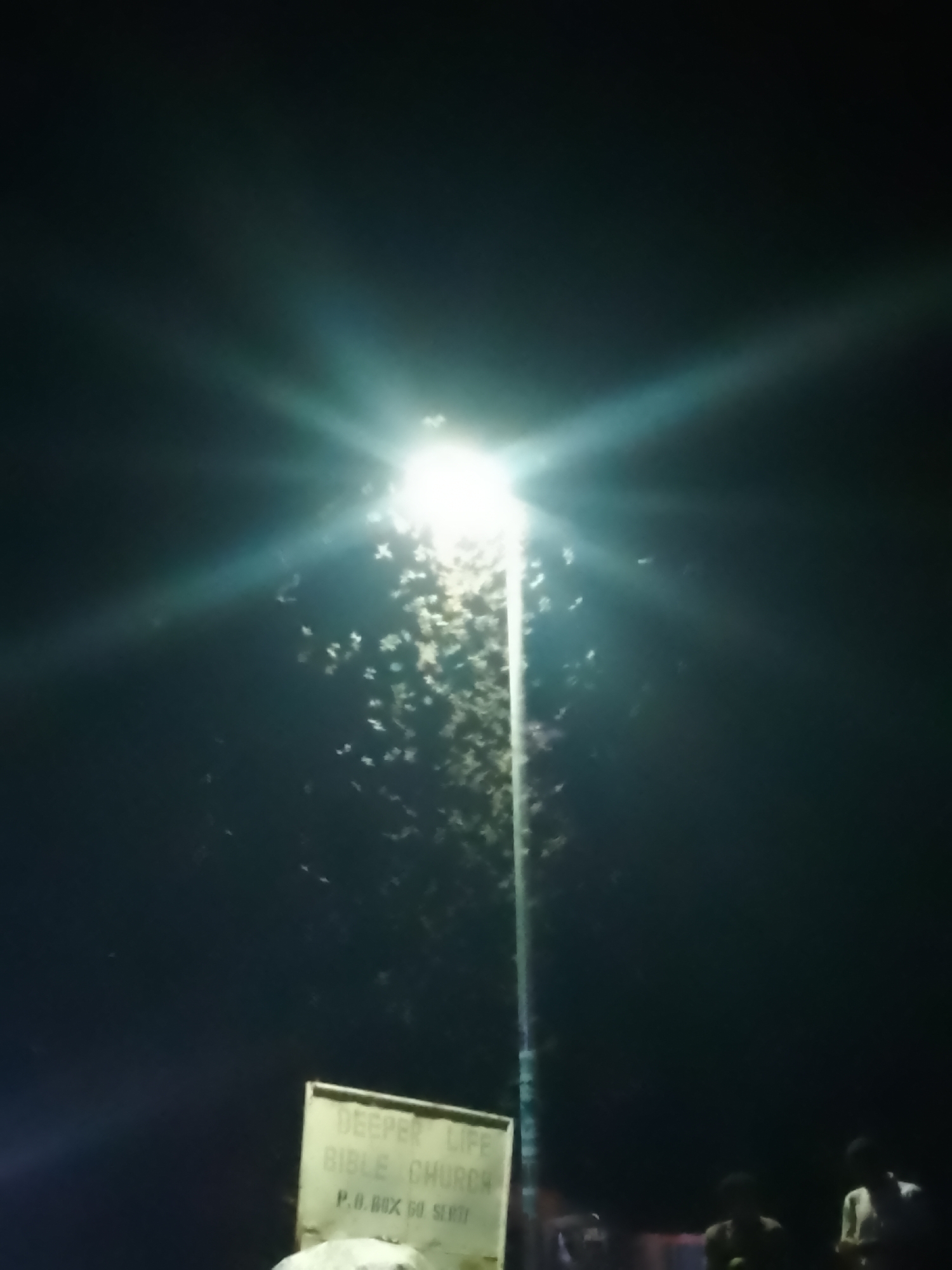 In this nighttime photograph of an outdoor scene in Unknown, Unknown, a bright streetlamp illuminates a swarm of insects, possibly moths or other nocturnal insects, circling the light. The light source is intense, creating a starburst effect with visible rays. Below and to the left of the streetlamp, a white sign with dark lettering is visible, although the text is partially obscured and difficult to read. The words "DEEPER LIFE" and "BIBLE CHURCH" are discernible, along with "P.O. BOX 60 SERTI". In the lower right portion of the frame, several individuals, appearing to be male, are standing in the darkness, their figures largely silhouetted. The overall environment is dark, suggesting a rural or suburban area at night, with the streetlamp being the primary source of illumination.
