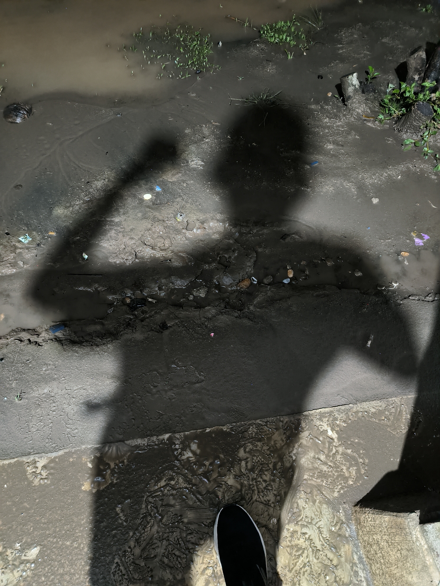 The image depicts a flooded street in what appears to be Pantebarobukitpanyang, Indonesia, evidenced by the dense vegetation and standing water. The environment includes a section of concrete stairs and a street-level area submerged in muddy water. Debris, including plastic wrappers and small stones, is scattered across the water surface. The central subject is the shadow of a person standing at the edge of the flooding, their pose indicating an arm raised in a fist. The angle of the shadow suggests a nearby light source. The shoe of the person casting the shadow is visible in the lower portion of the frame. A few tree stumps are observed near the edge of the muddy flood.