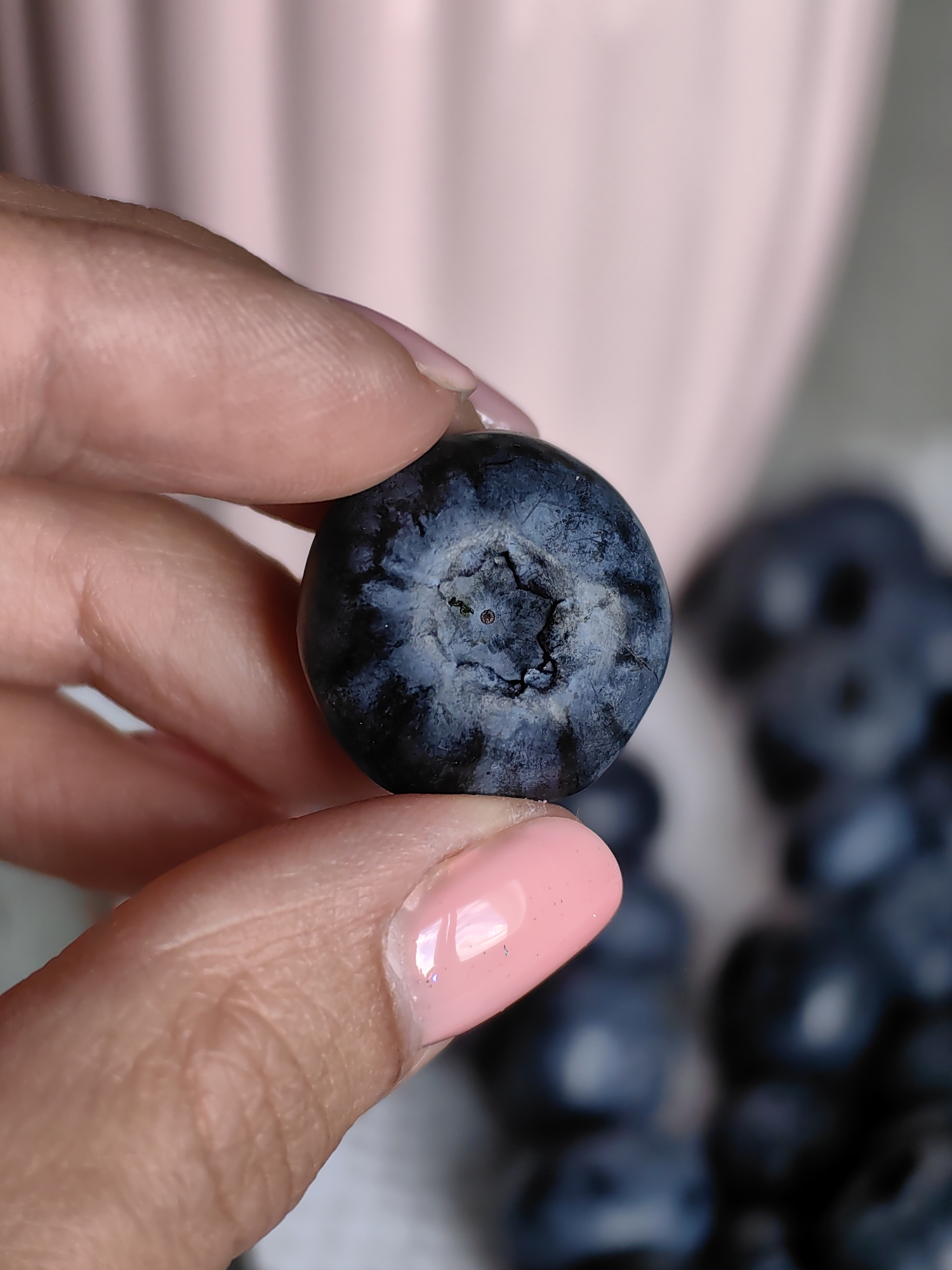 In Fanipal, Belarus, a close-up shot captures a person's hand holding a single ripe blueberry. The blueberry is dark blue, almost black, with a slightly textured surface. The hand, with neatly manicured light pink nails, gently cradles the fruit between the thumb and index finger. In the background, a cluster of other blueberries is visible, blurred and out of focus, suggesting they are in a bowl or on a surface. A soft pink object, possibly a ceramic bowl or vase, is also out of focus in the upper background. The lighting is soft and diffused, highlighting the details of the blueberry and the texture of the skin.