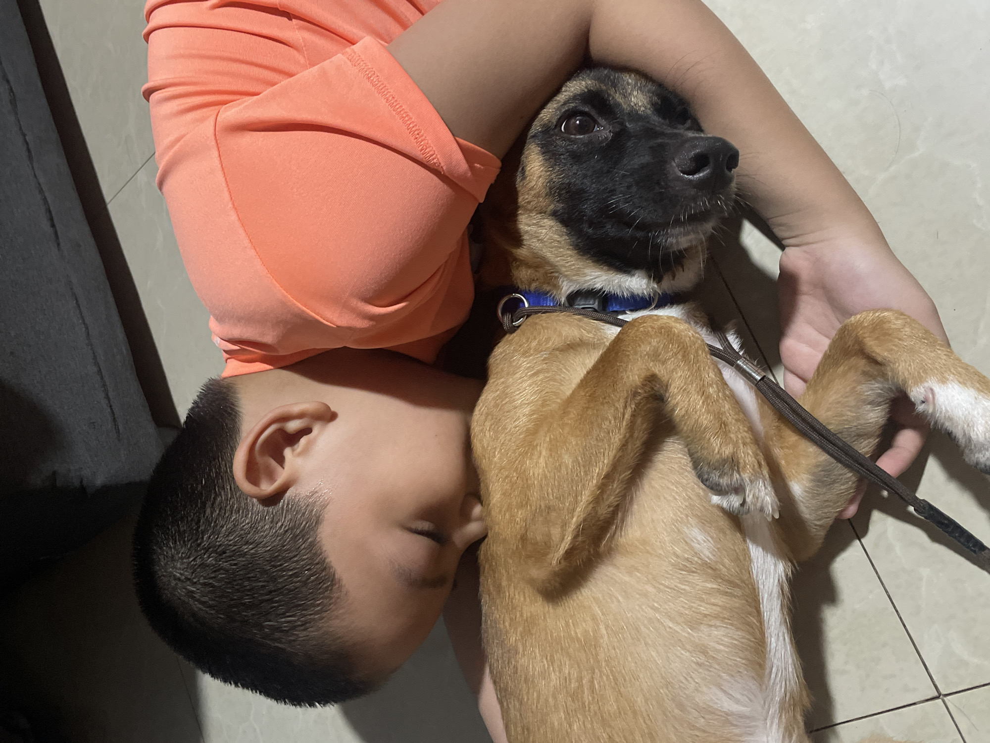 In Davao City, Philippines, a young boy with short, dark hair is lying down, embracing a dog. The boy, wearing an orange t-shirt, has his head resting on the dog's body, with his eyes closed, seemingly nuzzling it. The dog, with brown and black fur and a blue collar, is lying on its side, looking towards the camera with its head resting on the boy's arm. The scene takes place indoors, on a light-colored tiled floor, with a dark, out-of-focus object, possibly furniture, visible in the background. A leash is attached to the dog's collar and is held by the boy's hand.