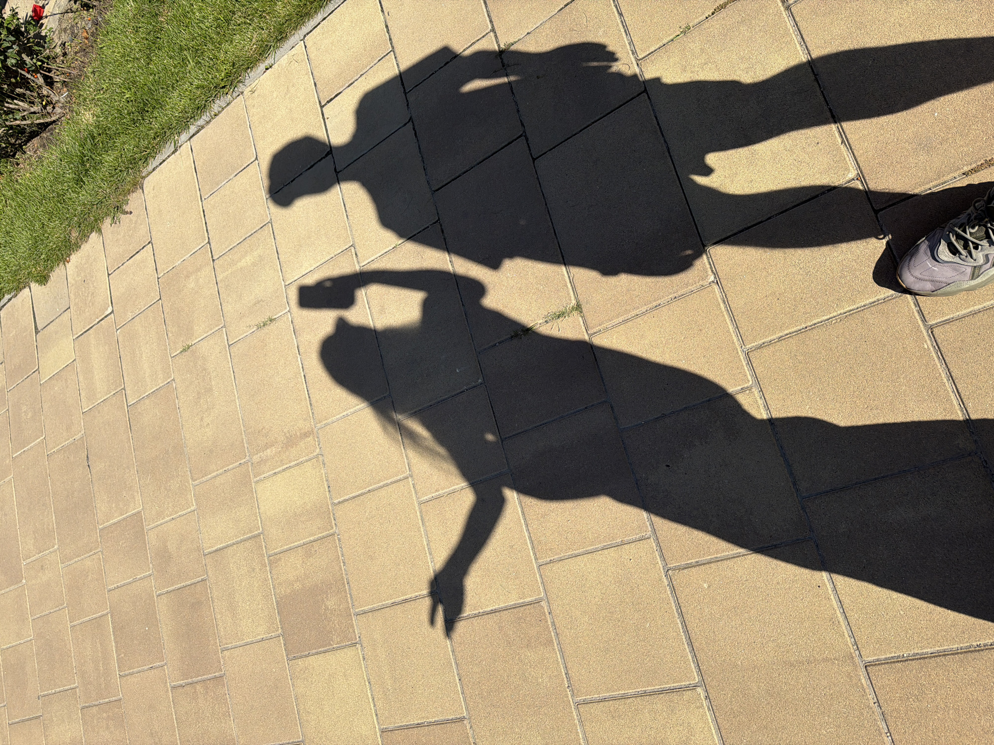 The image captures the shadows of two individuals cast on a tan-colored brick pathway, bordering a strip of lush green grass. The sun is high, suggesting it is midday. The shadow on the left depicts a person holding a smartphone, presumably taking the photograph, with their left arm extended and hand in a V-shape gesture. Their shadow shows long hair and a cap. The shadow on the right is of another person standing next to them. The environment appears to be an outdoor public space, possibly a park or a walkway in a residential area. The shadows are long, indicating the sun is not directly overhead. This scene could be found in various locations within Kyiv, Ukraine, such as Khreshchatyk Park, Mariinsky Park, or along the Dnipro River embankment.