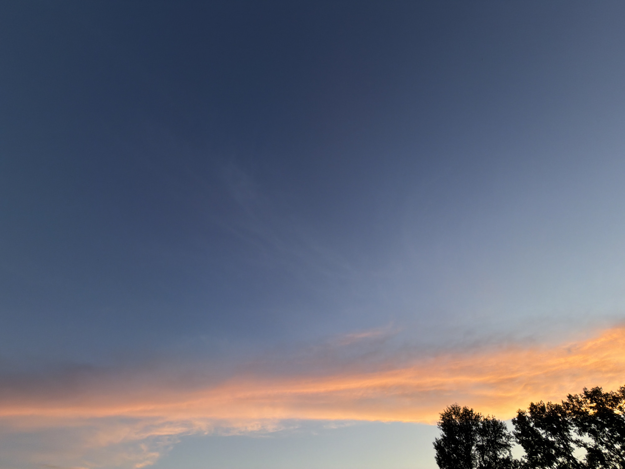 The image displays a serene sky at either sunset or sunrise over Chaikovsky, Russia. The upper sky is a deep indigo blue, gradually transitioning to a lighter, softer blue closer to the horizon. A prominent, elongated band of clouds stretches horizontally across the lower and mid-sections of the sky. These clouds are illuminated by the low sun, showing vibrant hues of orange, pink, and subtle hints of yellow, characteristic of dawn or dusk. Below this colorful cloud layer, the sky lightens to a pale blue or light gray. In the bottom right corner, the dark, silhouetted forms of several trees with dense foliage are visible, sharply contrasted against the brighter, colorful sky. The overall scene conveys a peaceful and tranquil atmosphere, with no discernible human activity or specific objects. No text is visible in the media.