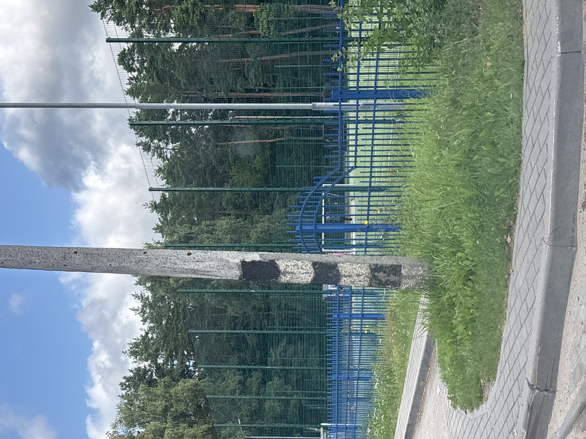 A concrete pole with black markings is situated in the foreground, beside a paved pathway and a patch of green grass. Behind the pole, a blue metal fence runs horizontally, separating the pathway from a green sports field enclosed by a tall, dark green mesh fence. A line of mature pine trees forms a dense backdrop beyond the sports field, with a cloudy blue sky overhead. The overall scene depicts an outdoor sports facility.