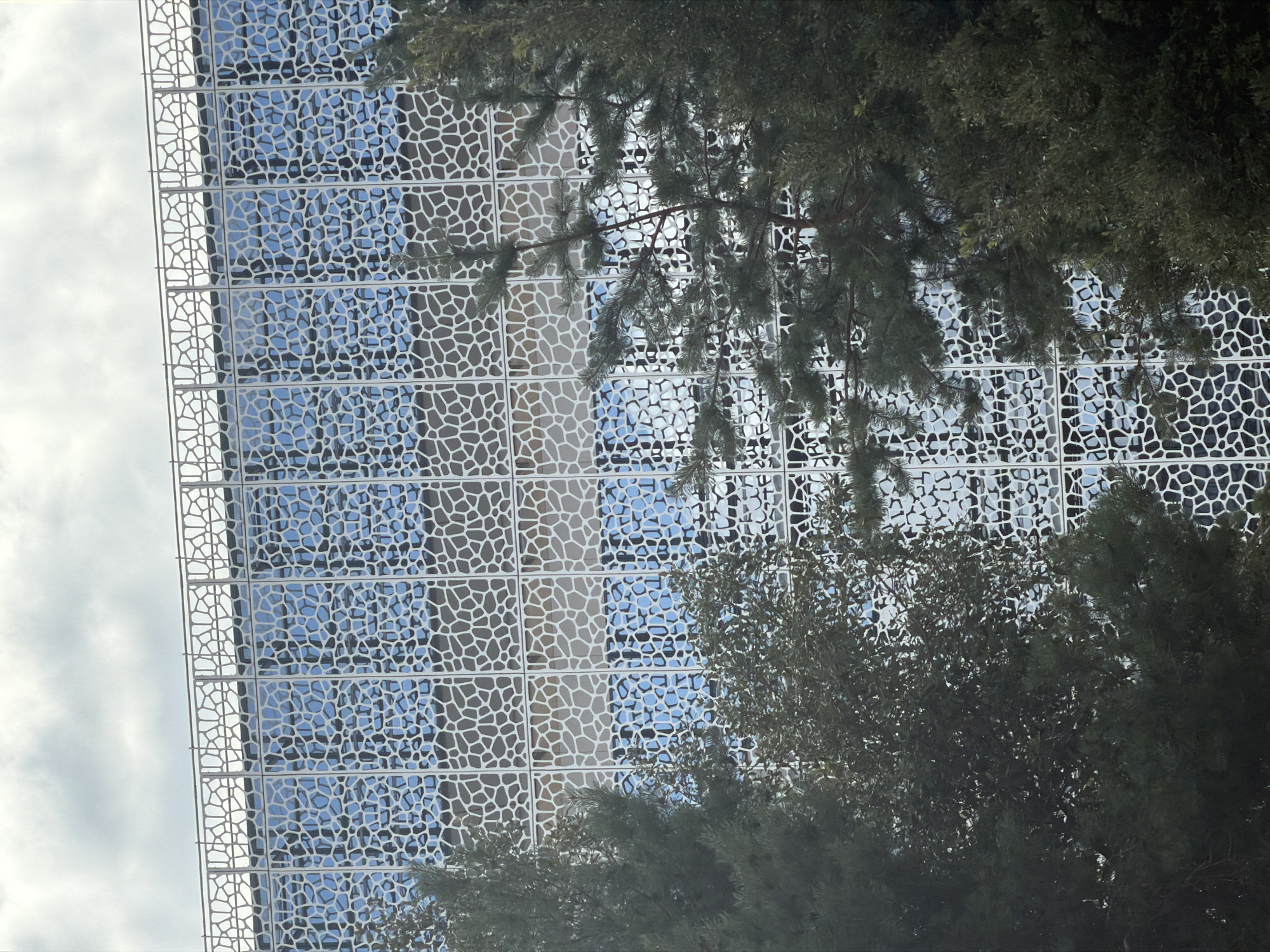 The image shows a close-up view of a modern building facade with a unique white, geometric lattice pattern covering its blue glass windows. The lattice is composed of interconnected irregular shapes that create an organic, honeycomb-like effect. Trees with dark green foliage are partially obscuring the building, with some branches and leaves in the foreground and middle ground. The sky appears overcast with large, soft clouds, suggesting it might be a cloudy day. The overall scene is a combination of architecture and nature, with the building's structured design contrasting with the organic forms of the trees. There is no visible text in the image. The setting appears to be an urban or suburban environment in Vélizy-Villacoublay, France, characterized by contemporary architecture. The lighting suggests it is daytime, but the cloudy conditions diffuse the sunlight.