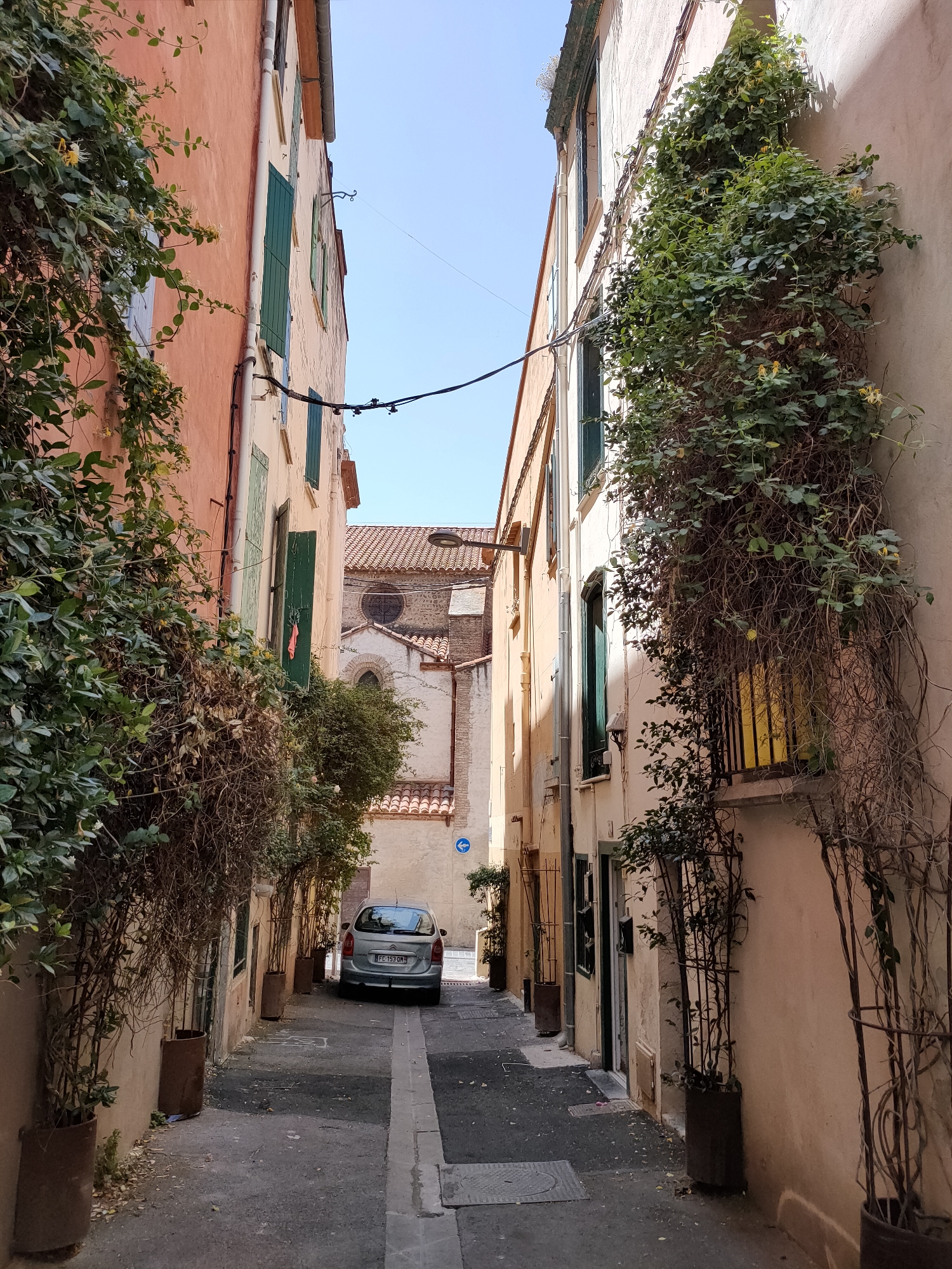 The image depicts a narrow, cobblestone alleyway in the historic district of Perpignan, France. The alley is flanked by tall, weathered buildings with muted pastel facades. Lush green vines climb the walls of both buildings, some with small yellow flowers, adding a touch of vibrant life to the scene.
On the left, the building has a salmon-pink colored facade with green shutters and an open blue-framed window. On the right, the building is a light peach color with dark green shutters and a window with a yellow glow emanating from within.
At the end of the alley, a silver hatchback car is parked, facing away from the viewer. The car has a French license plate reading "FC 153 DM". Beyond the car, the alley opens up to reveal a glimpse of a building with a terracotta-tiled roof and architectural elements suggesting a church or old public building, possibly the Palais des Rois de Majorque given the style of architecture. The sky above is a clear, bright blue.
The overall impression is one of a charming, slightly secluded European street, bathed in sunlight, with a sense of timelessness. The presence of the car indicates it is still a functional street, likely used by residents. The scene is tranquil, with no people visible.