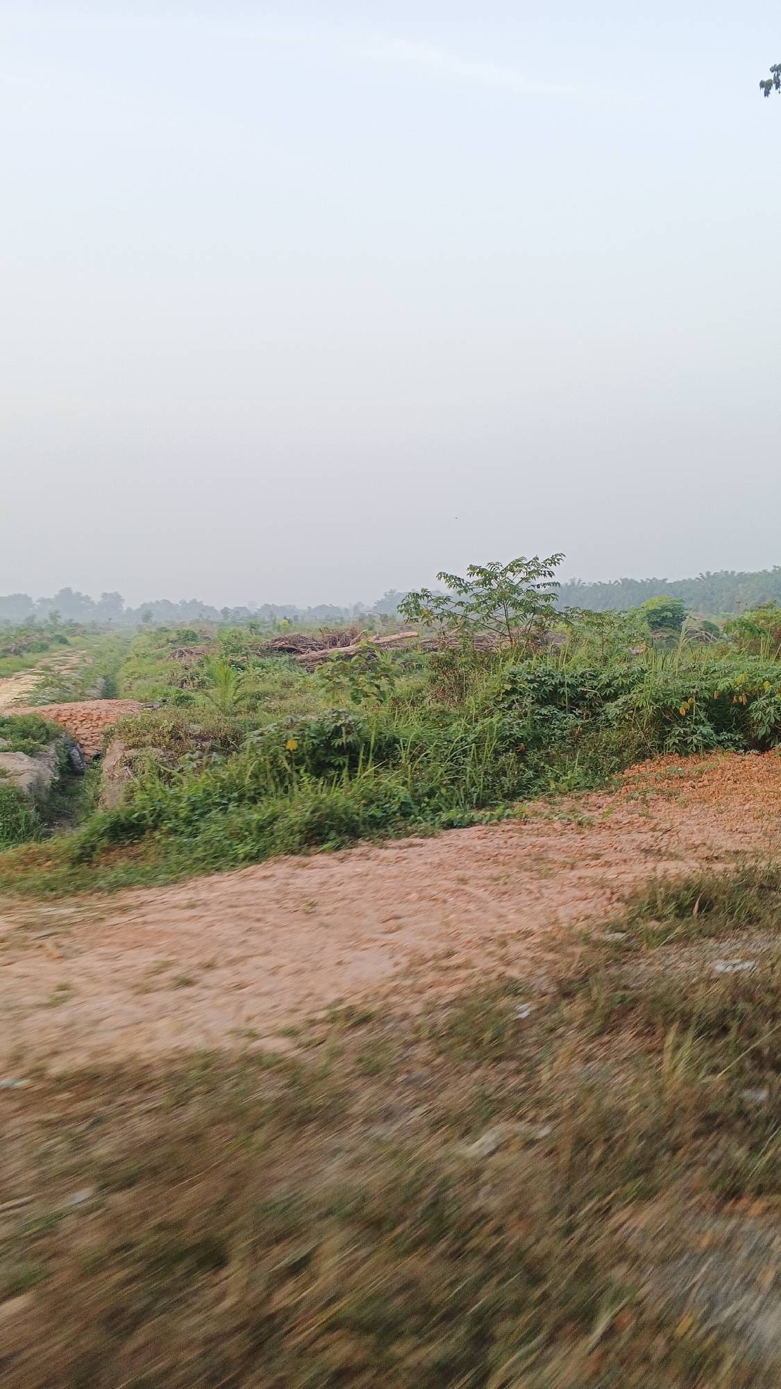The image depicts an outdoor scene in the city of Rawang Air Putih, Indonesia. The foreground is a dirt road with blurred grass, suggesting movement. Beyond the road, there is an area of uneven terrain covered with green vegetation and reddish-brown soil. Piles of cut wood or logs are visible in the mid-ground, hinting at recent land clearing or forestry activity. Further in the distance, a hazy landscape with trees stretches to the horizon under a bright, overcast sky. No people or specific structures are discernible in the image.